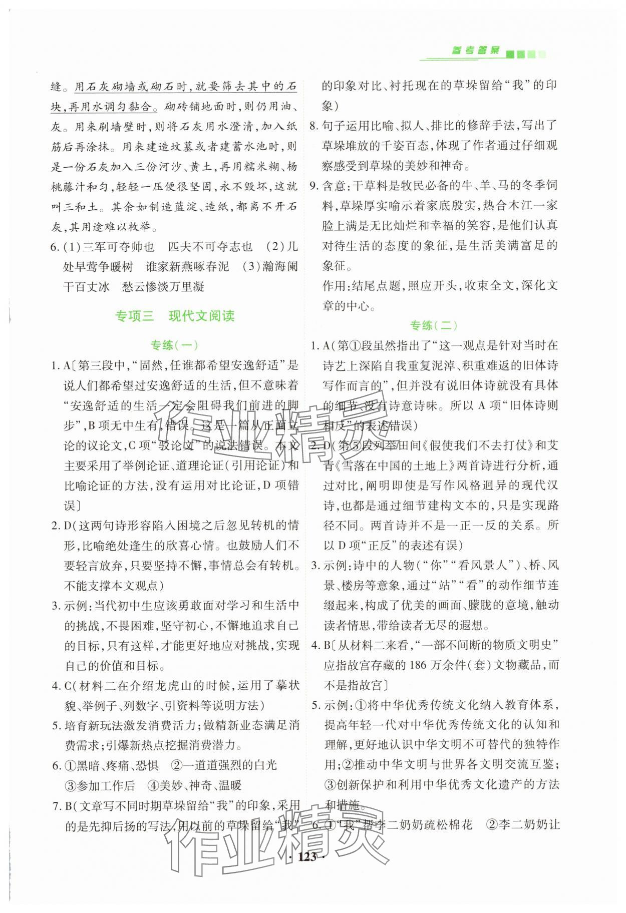 2025年專項新評價中考二輪語文 第5頁
