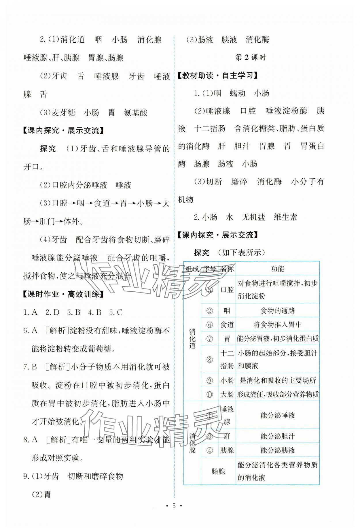 2024年能力培养与测试七年级生物下册人教版 第5页