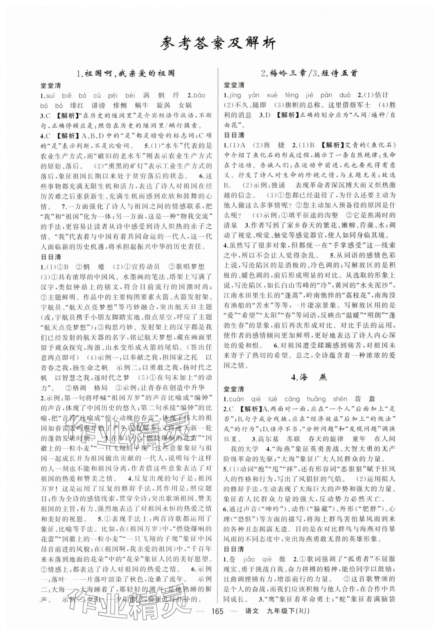 2024年四清導(dǎo)航九年級語文下冊人教版河南專版 第1頁