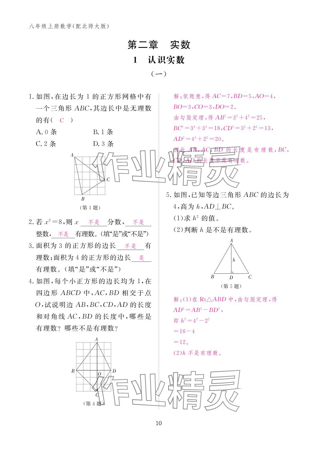 2025年作业本江西教育出版社八年级数学上册北师大版 参考答案第10页