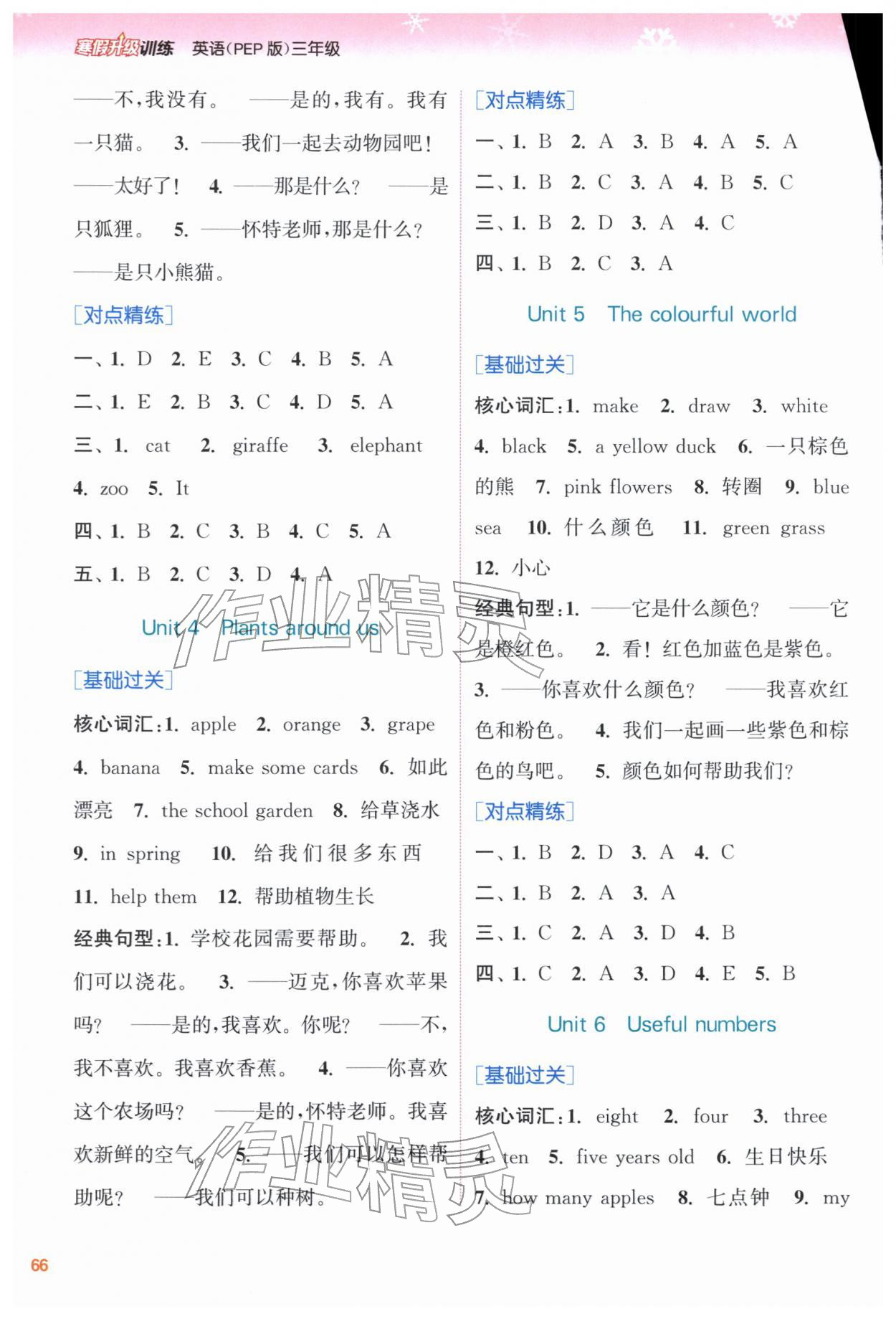 2026年寒假升级训练浙江教育出版社三年级英语人教版&nbsp;第2页