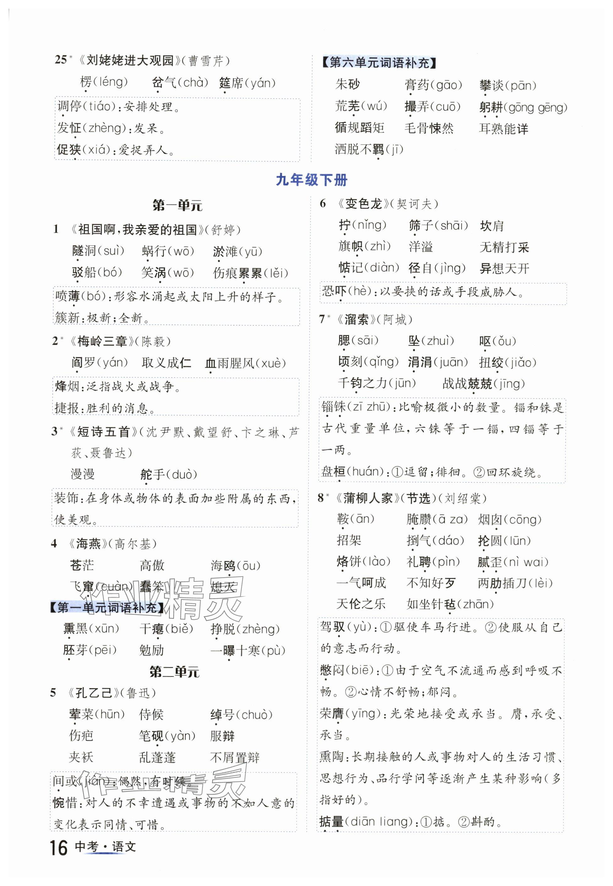 2024年國華圖書中考拐點語文南充專版 參考答案第16頁