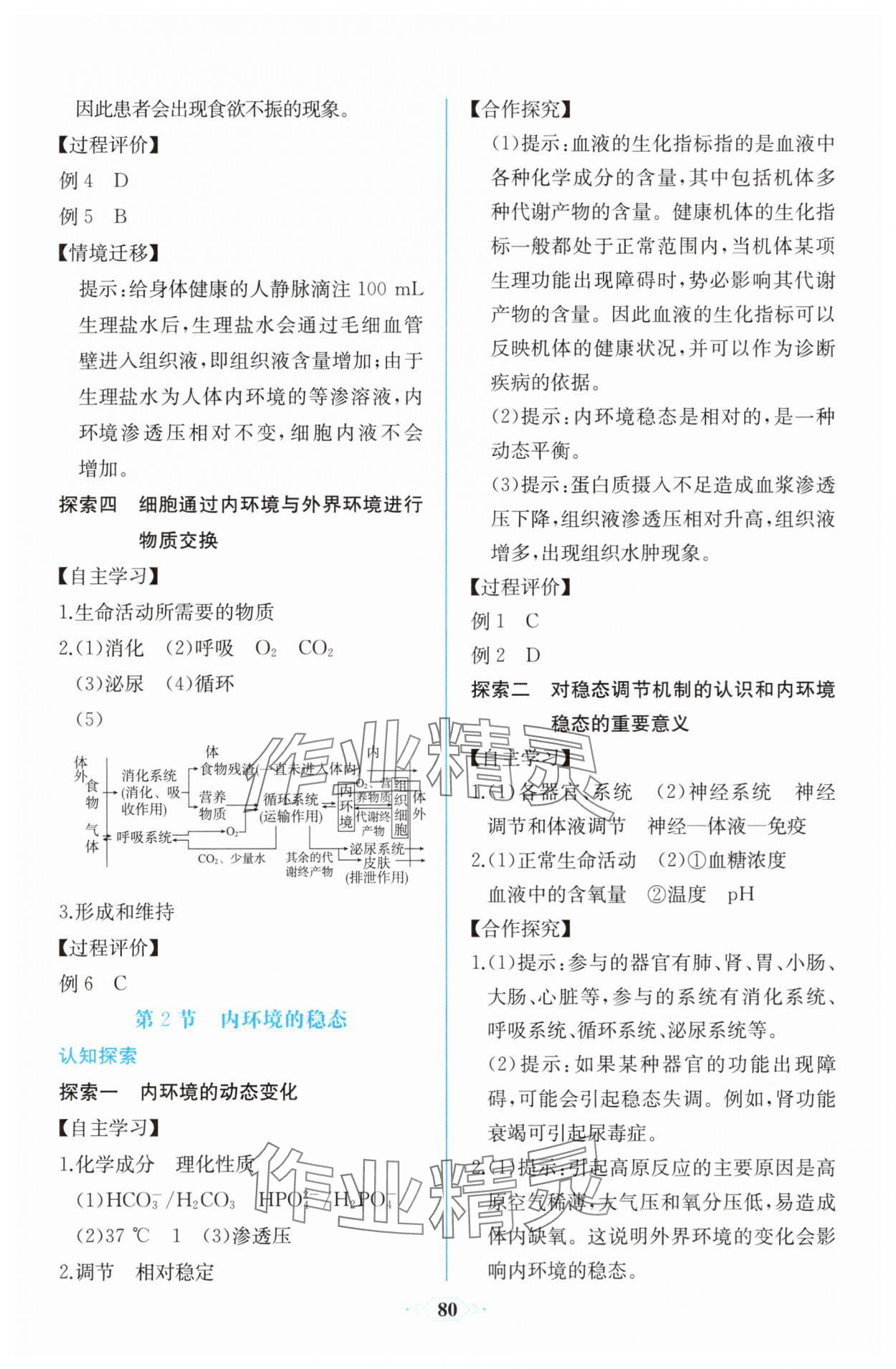 2025年课时练新课程学习评价方案高中生物选择性必修1人教版增强版 第2页