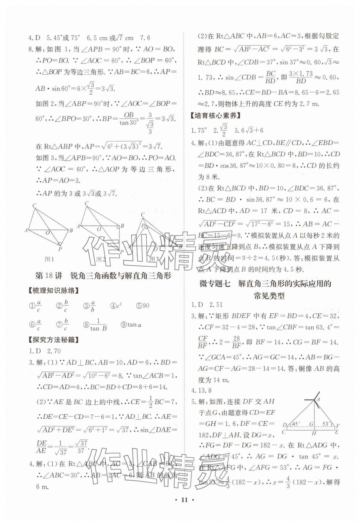 2025年湖北中考初中學(xué)業(yè)水平考試總復(fù)習(xí)數(shù)學(xué) 參考答案第11頁(yè)