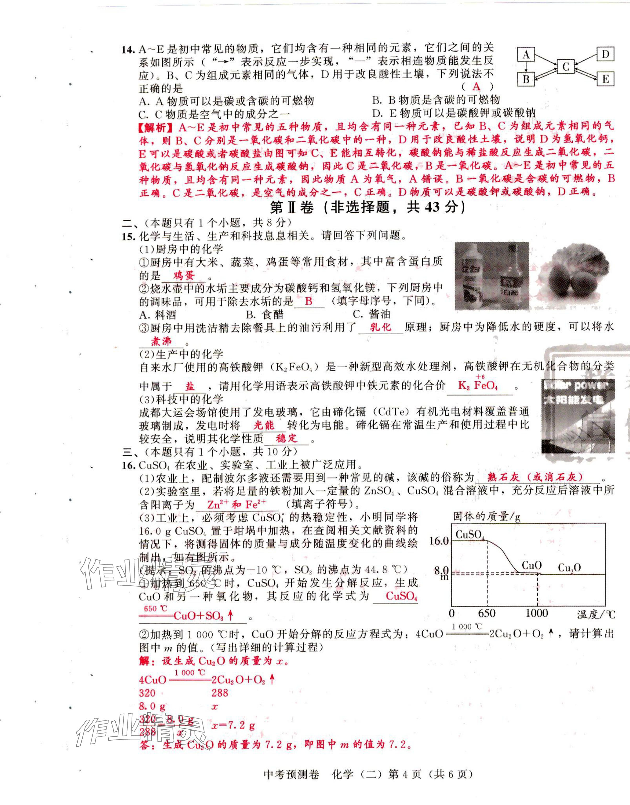 2024年中考預測卷化學 第10頁