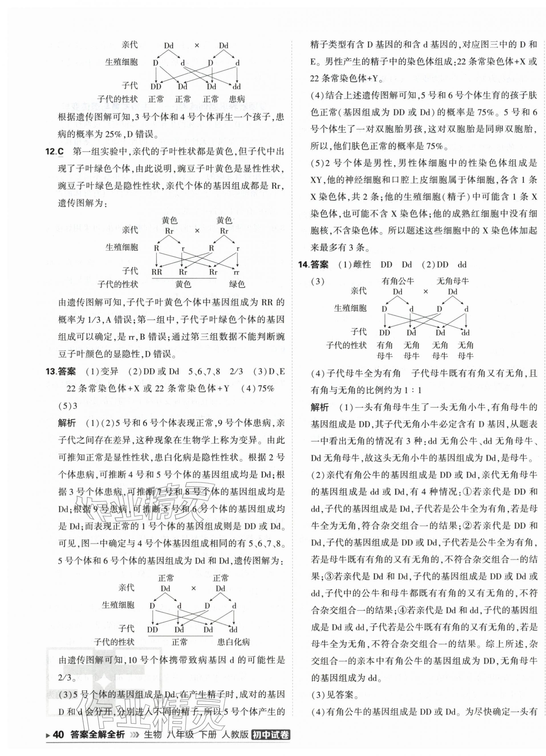 2026年5年中考3年模拟初中试卷八年级生物下册人教版&nbsp;第7页