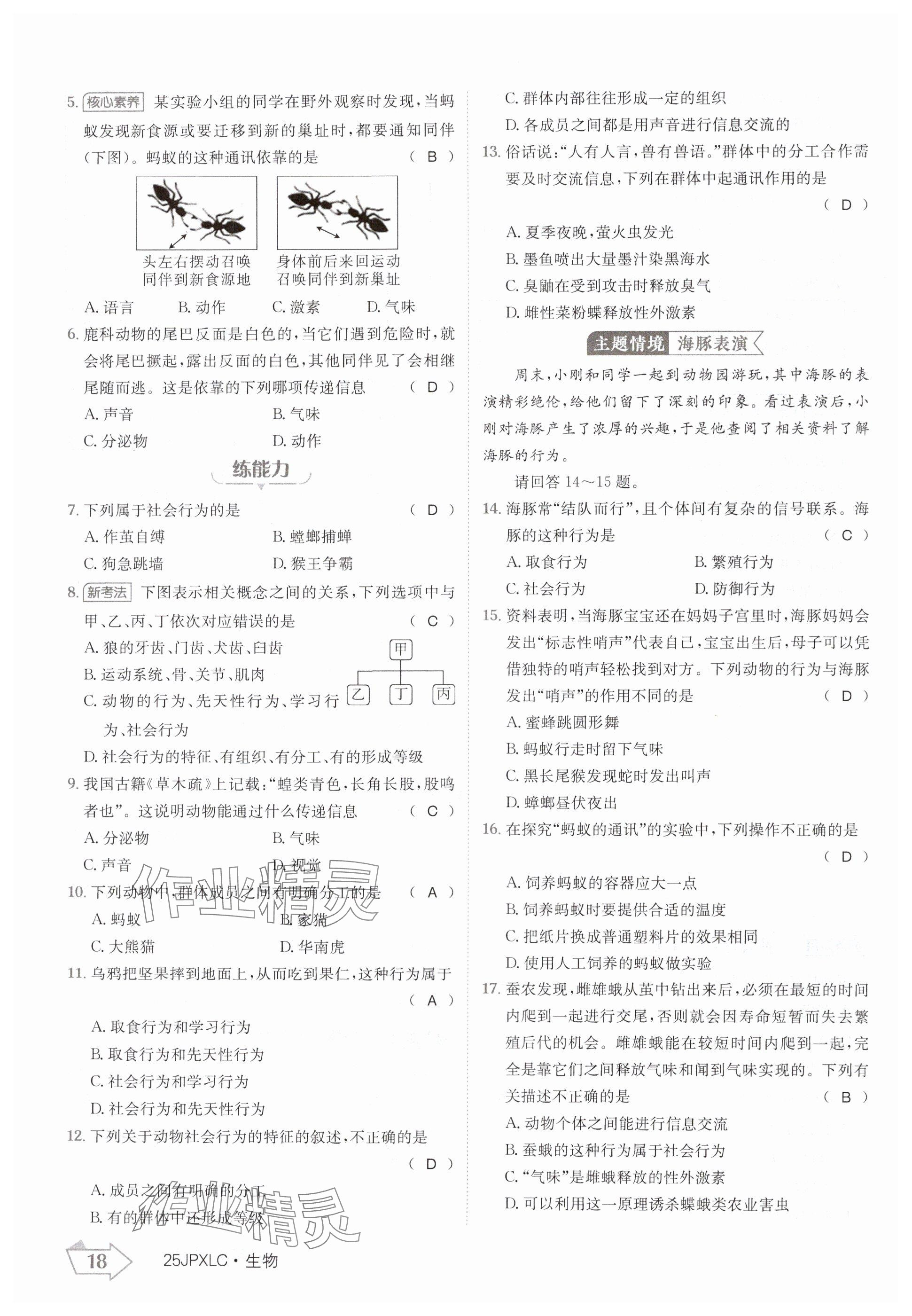 2024年金牌學練測八年級生物上冊人教版 參考答案第18頁