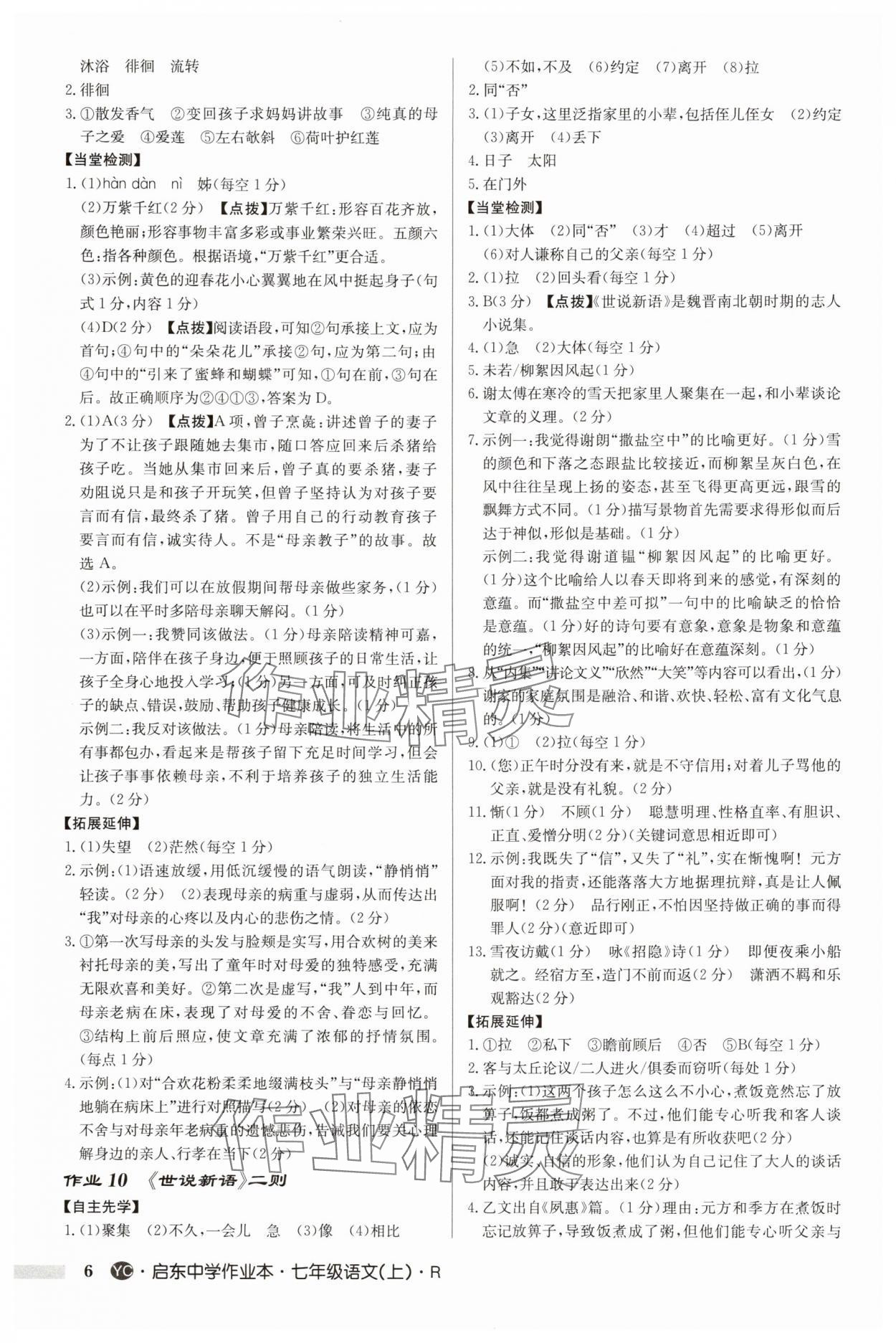 2025年啟東中學作業本七年級語文上冊人教版鹽城專版 第6頁