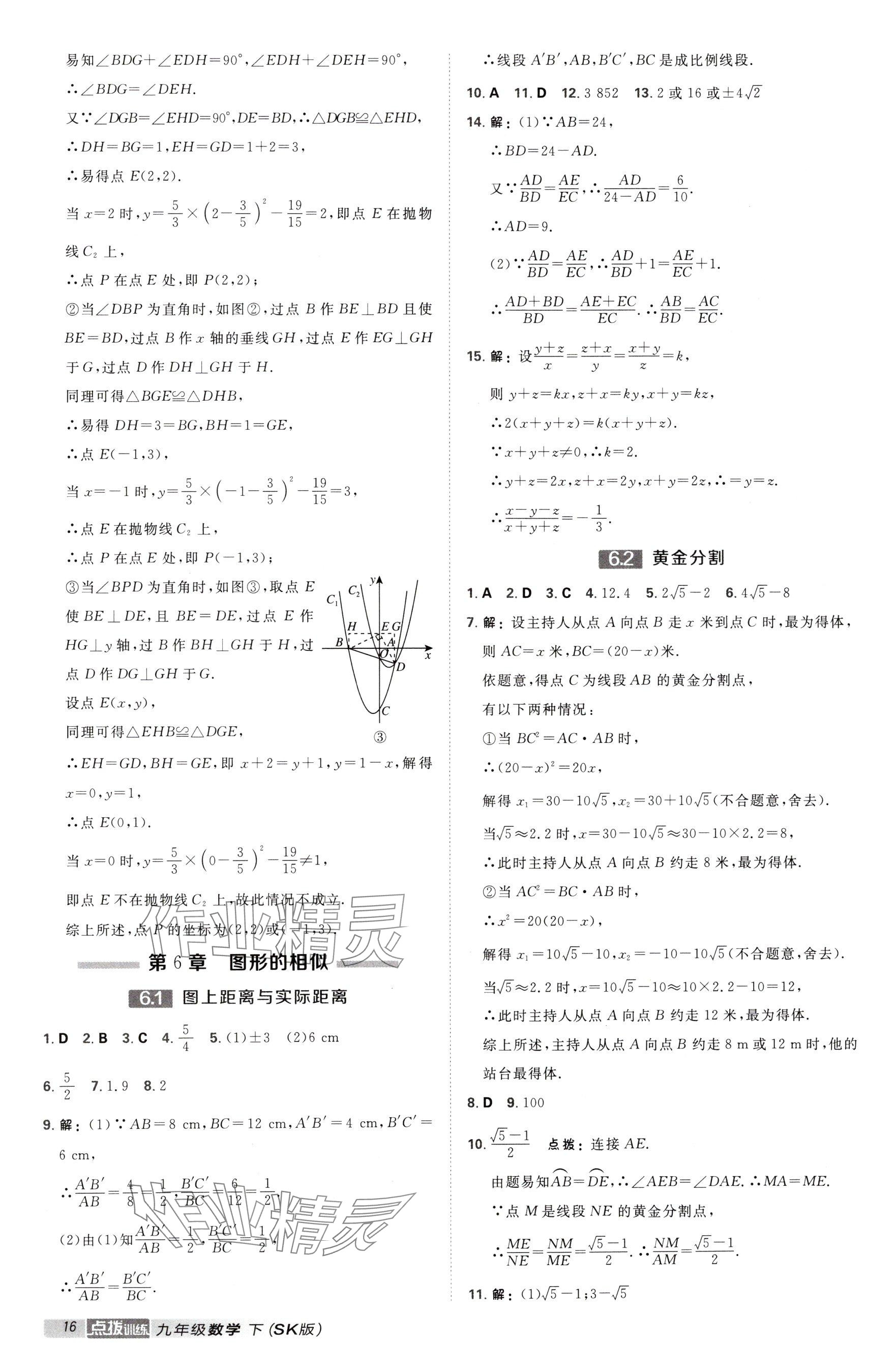 2025年點撥訓(xùn)練九年級數(shù)學(xué)下冊蘇科版江蘇專用 參考答案第16頁