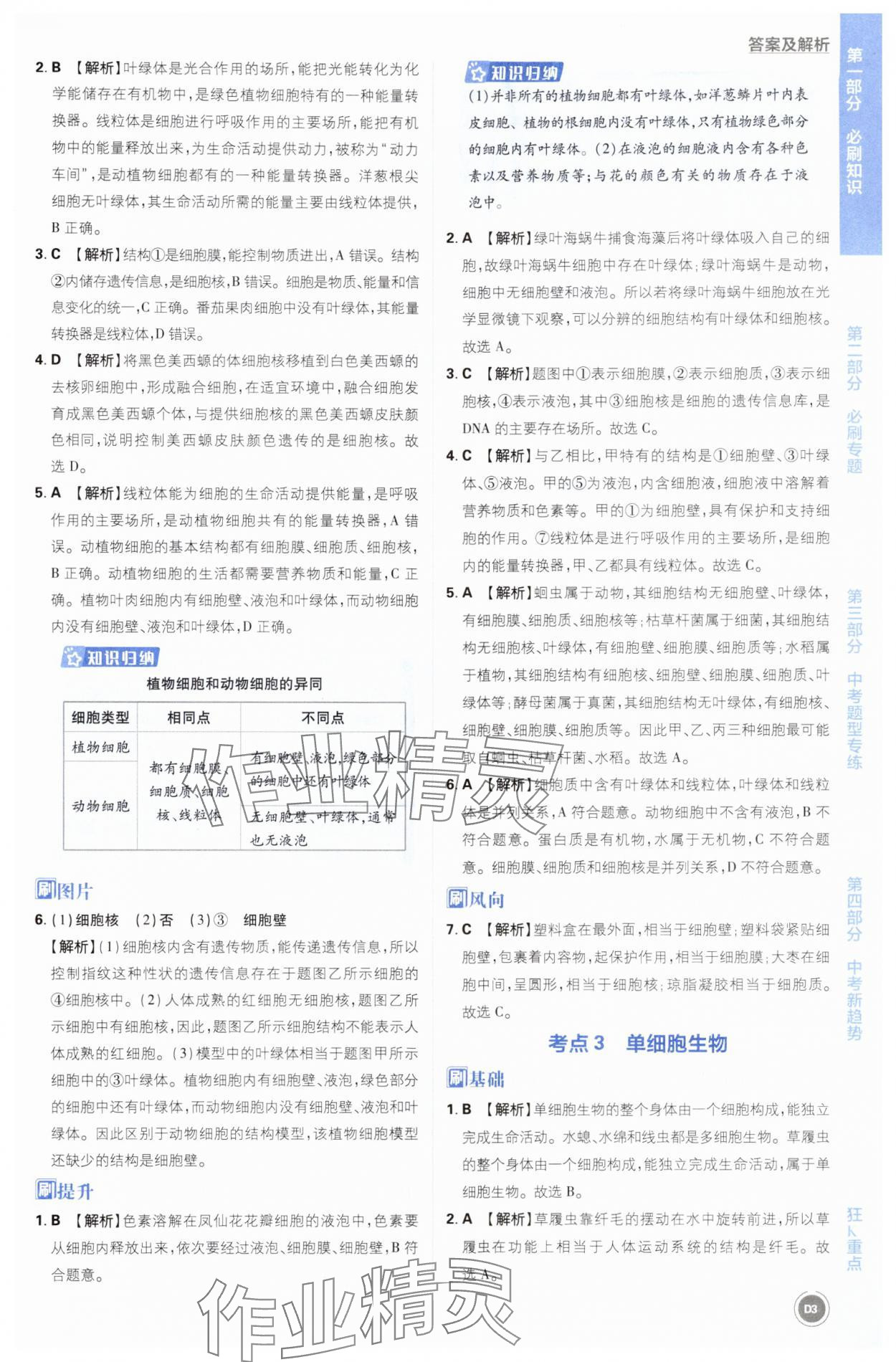 2025年中考必刷题开明出版社生物&nbsp;第3页