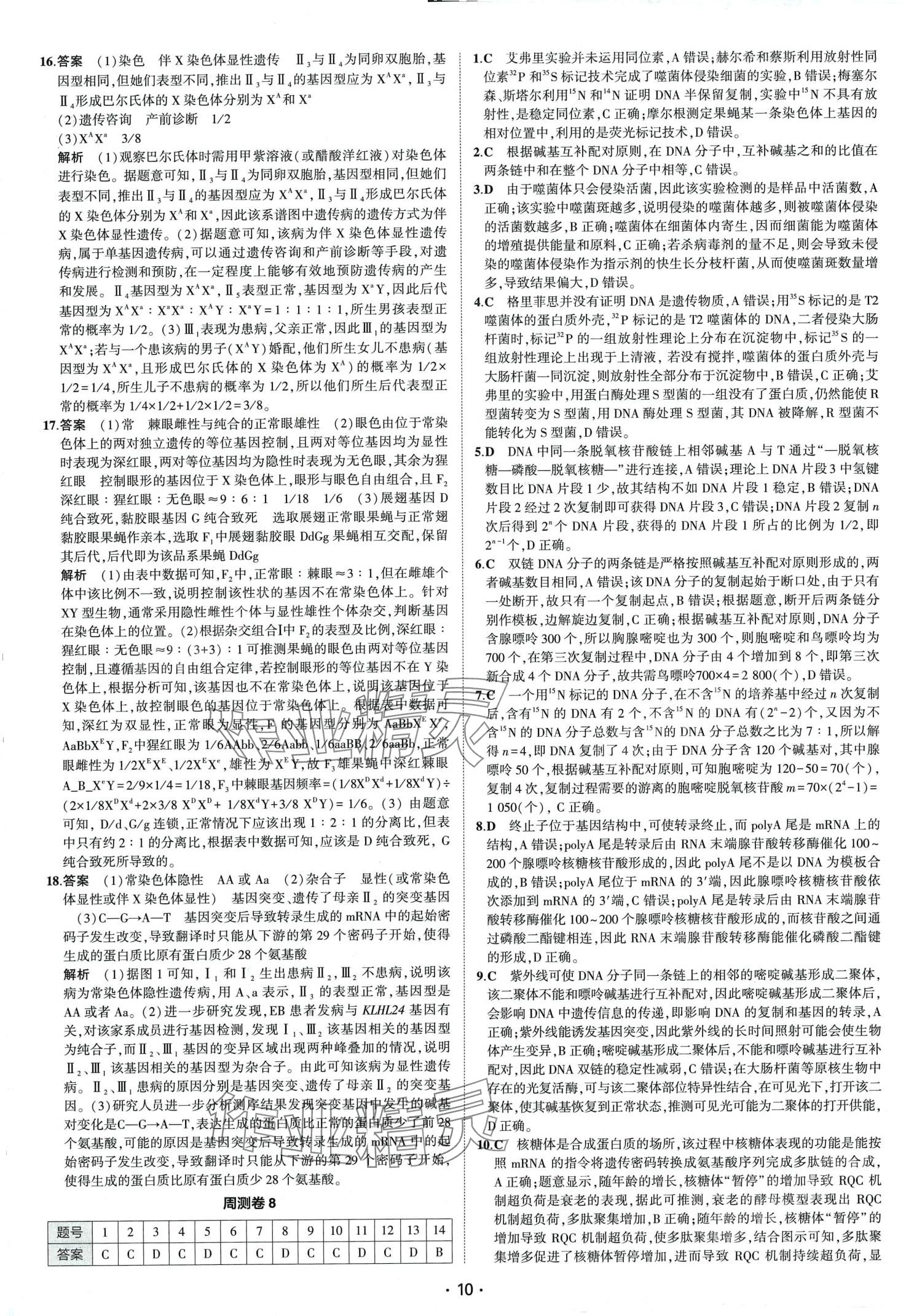 2024年高考總復(fù)習(xí)高考全程通關(guān)卷高中生物通用版 第12頁(yè)