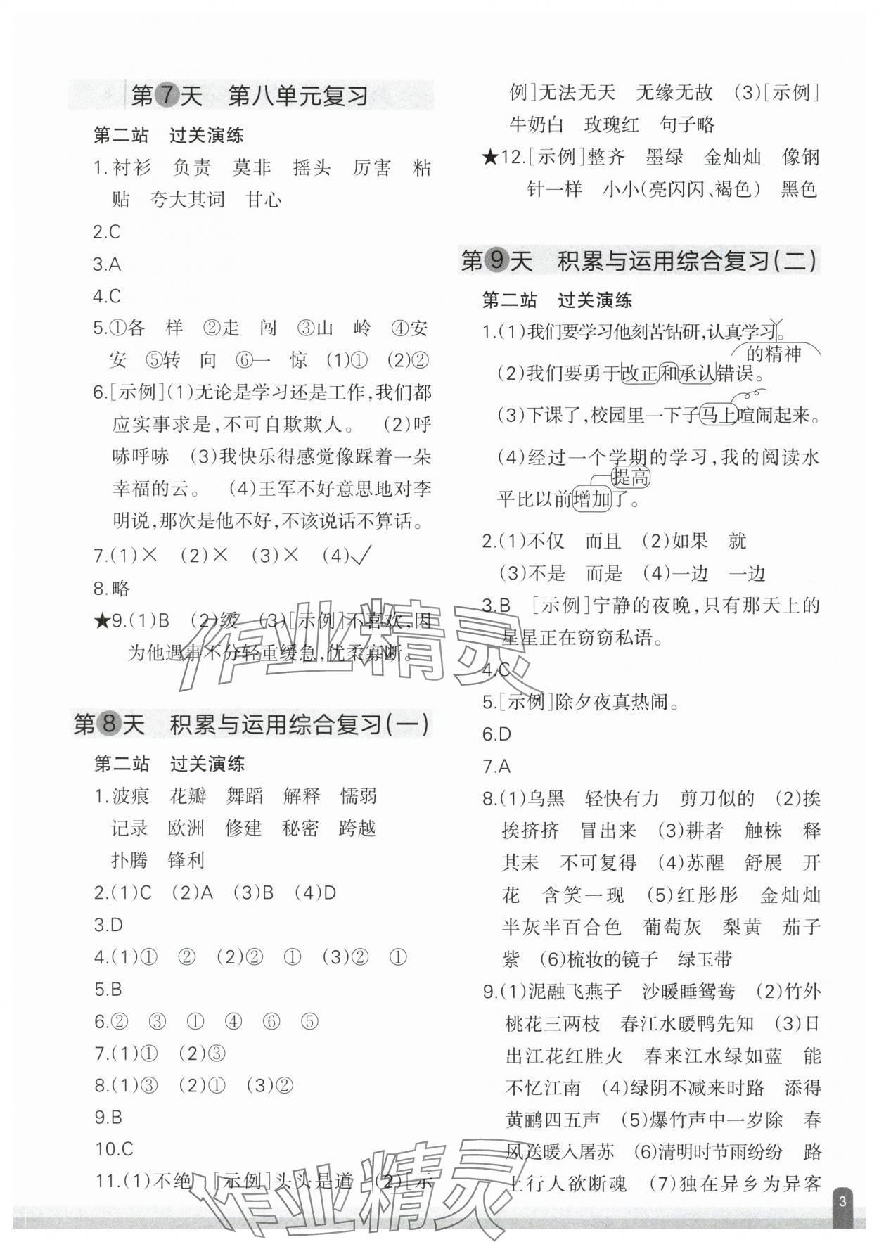 2025年核心素养天天练语文期末分项复习21天三年级下册人教版&nbsp;参考答案第3页