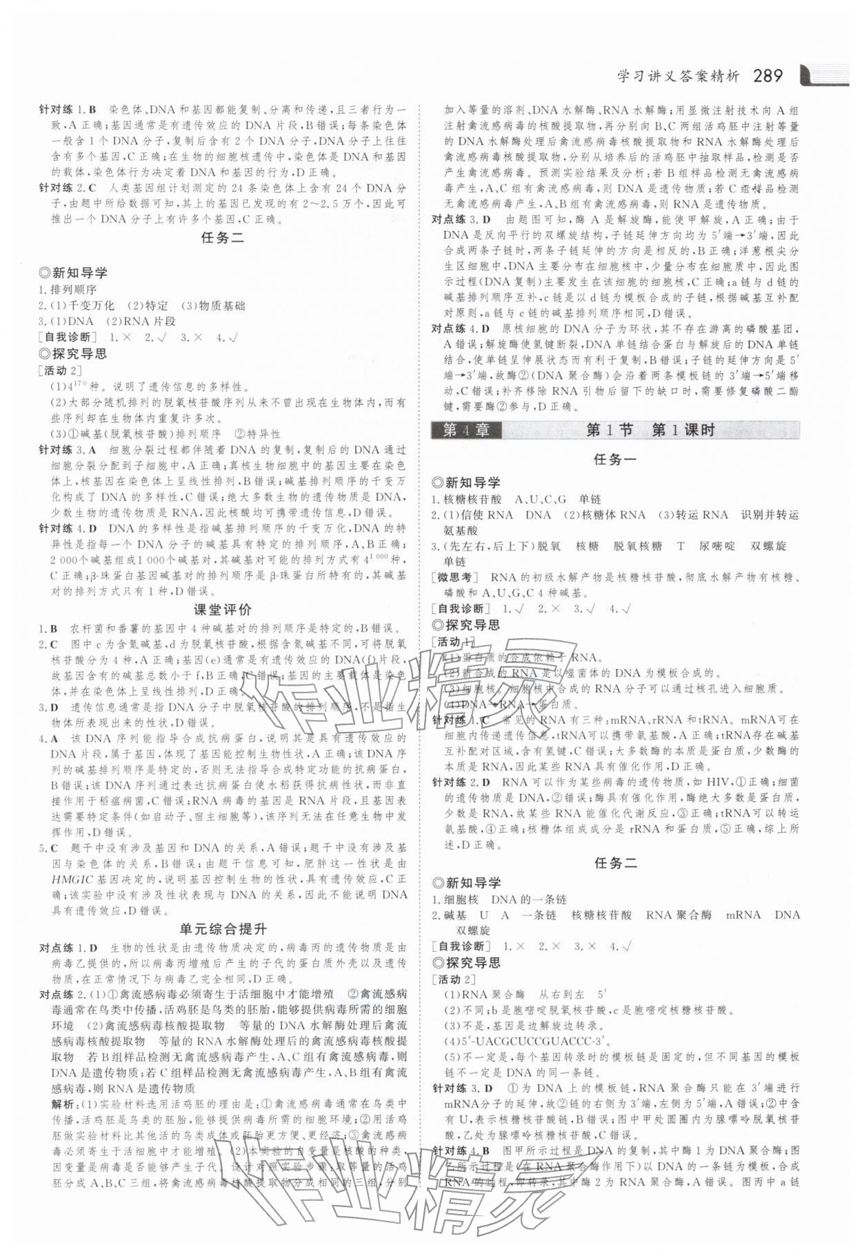 2025年金版新學案高中生物必修第二冊人教版 參考答案第12頁
