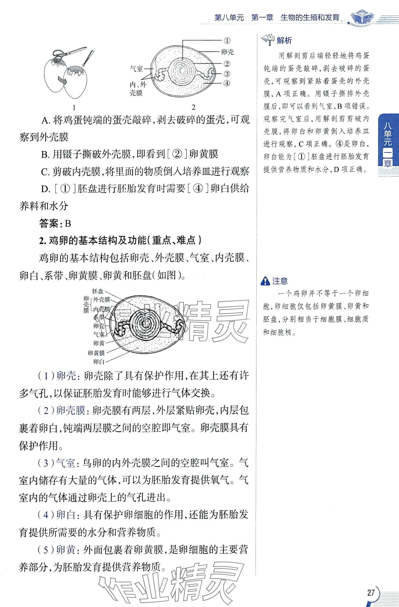 2024年教材課本八年級生物下冊魯科版五四制 第27頁