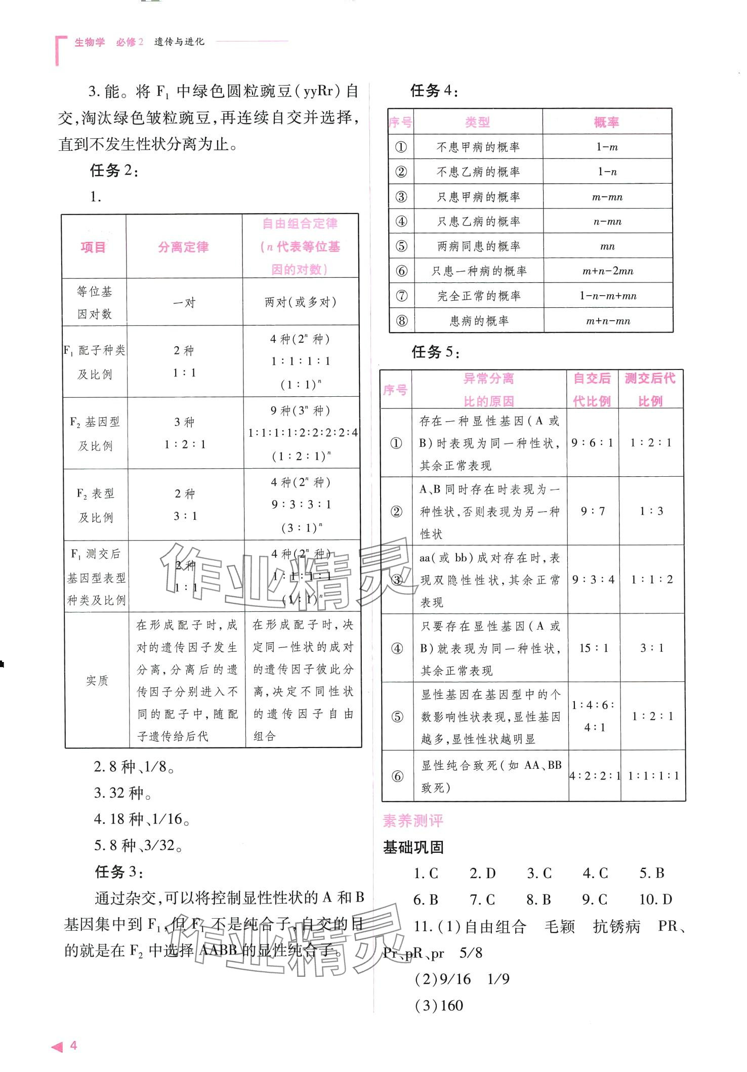 2024年普通高中新課程同步練習(xí)冊高中生物必修2人教版 第4頁