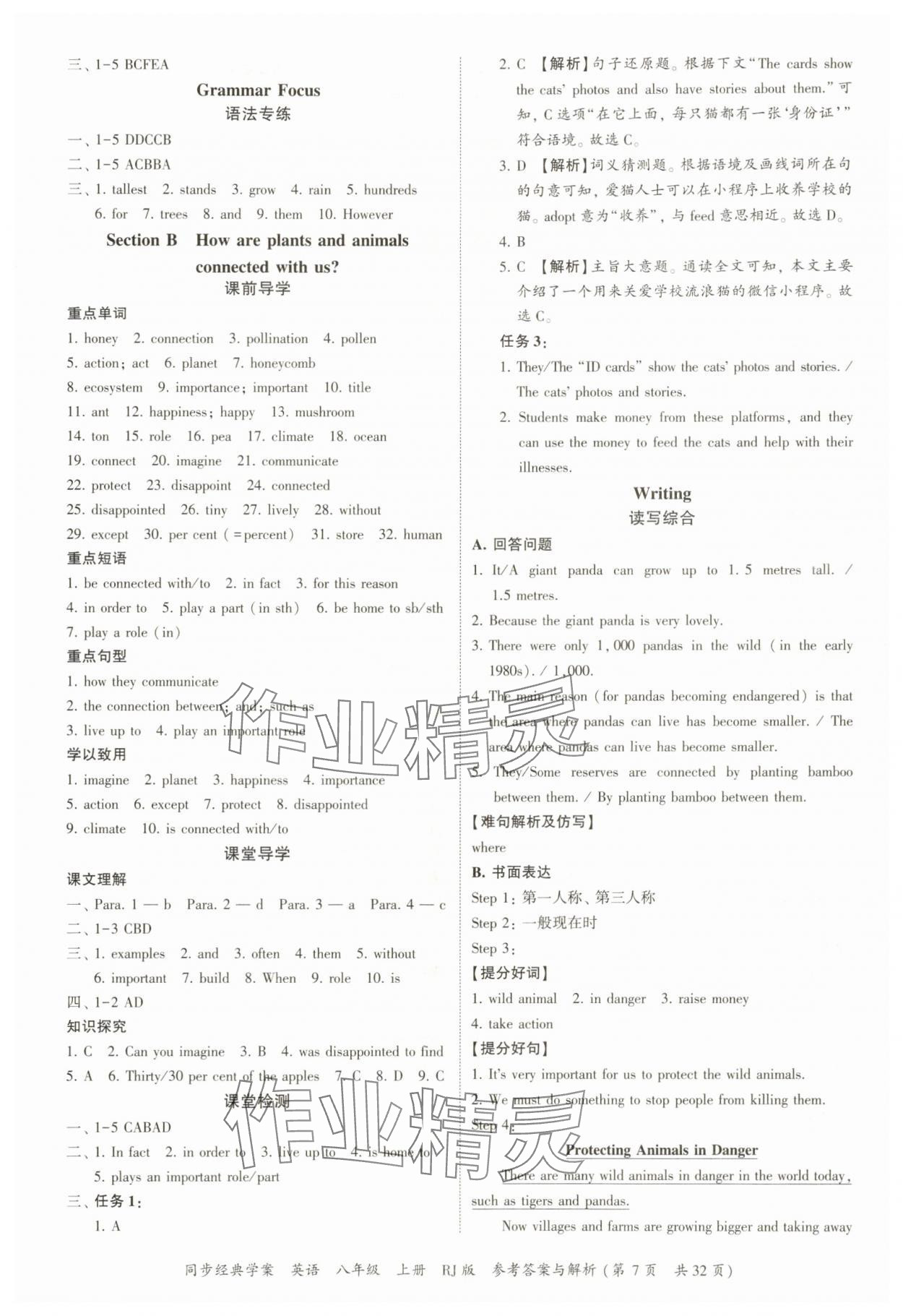 2025年同步經(jīng)典學(xué)案八年級(jí)英語(yǔ)上冊(cè)人教版 第7頁(yè)