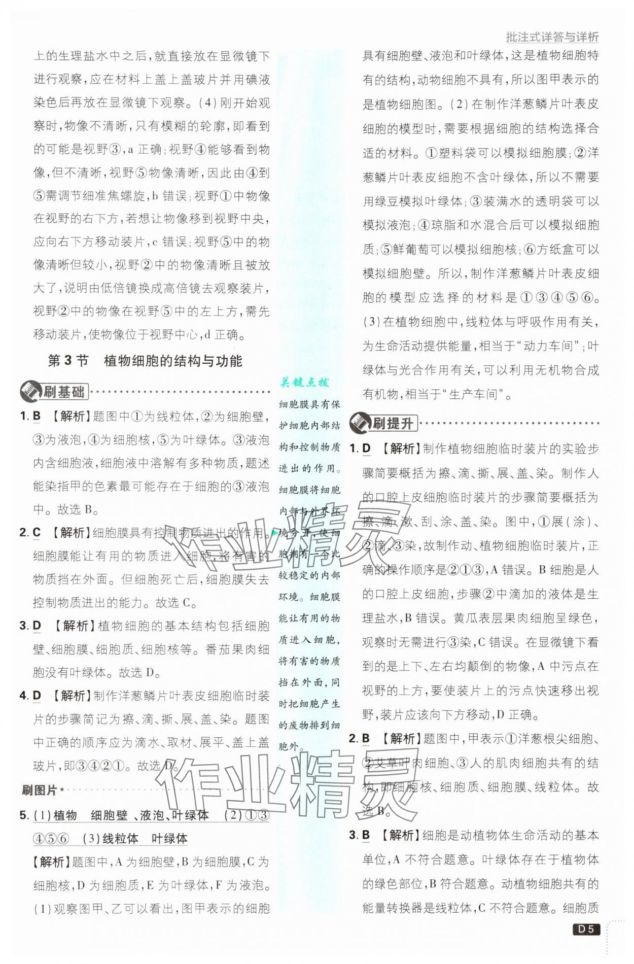 2025年初中必刷題七年級(jí)生物上冊(cè)蘇教版 第5頁(yè)