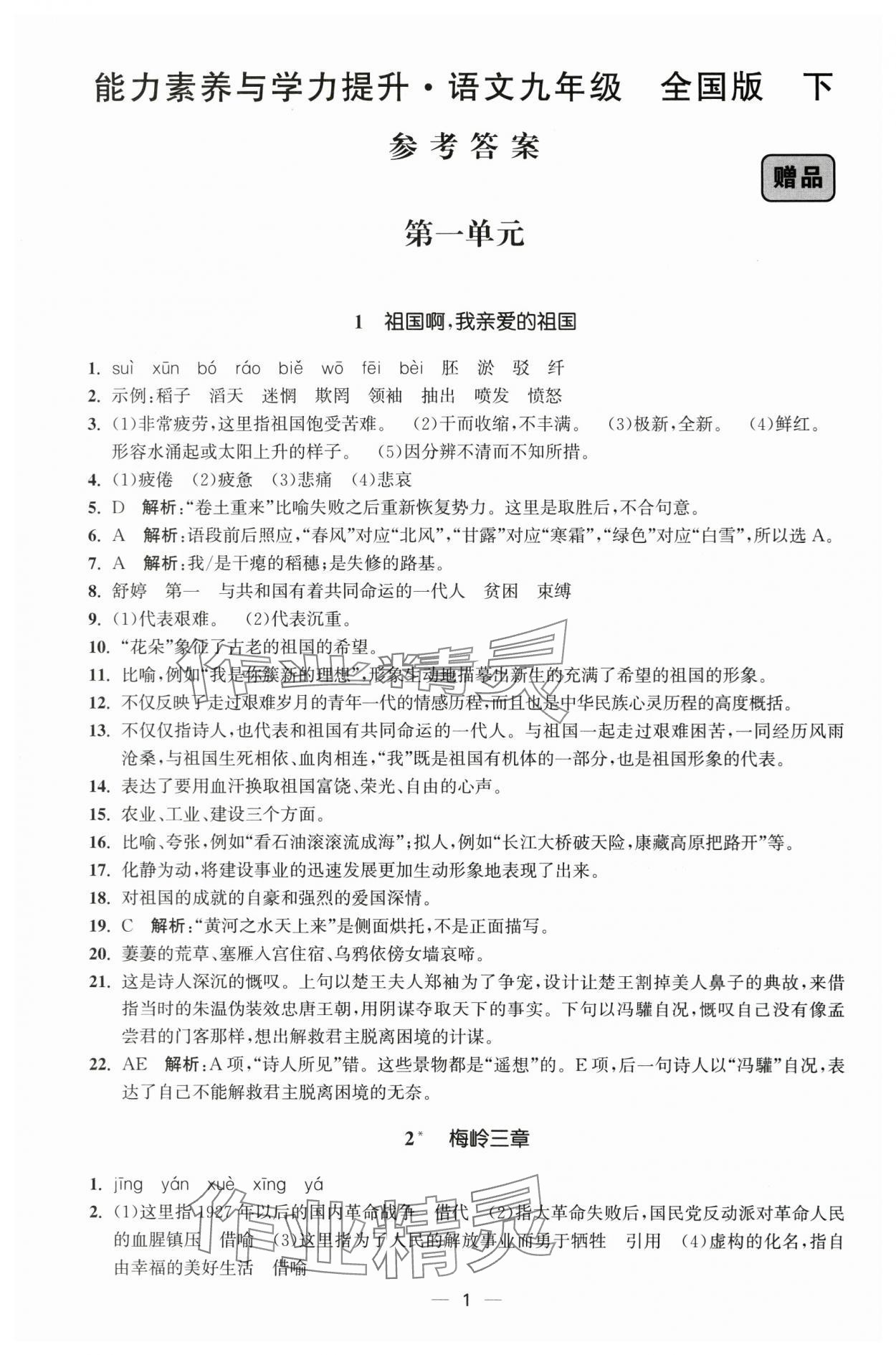 2024年能力素養(yǎng)與學(xué)力提升九年級(jí)語(yǔ)文下冊(cè)人教版 第1頁(yè)