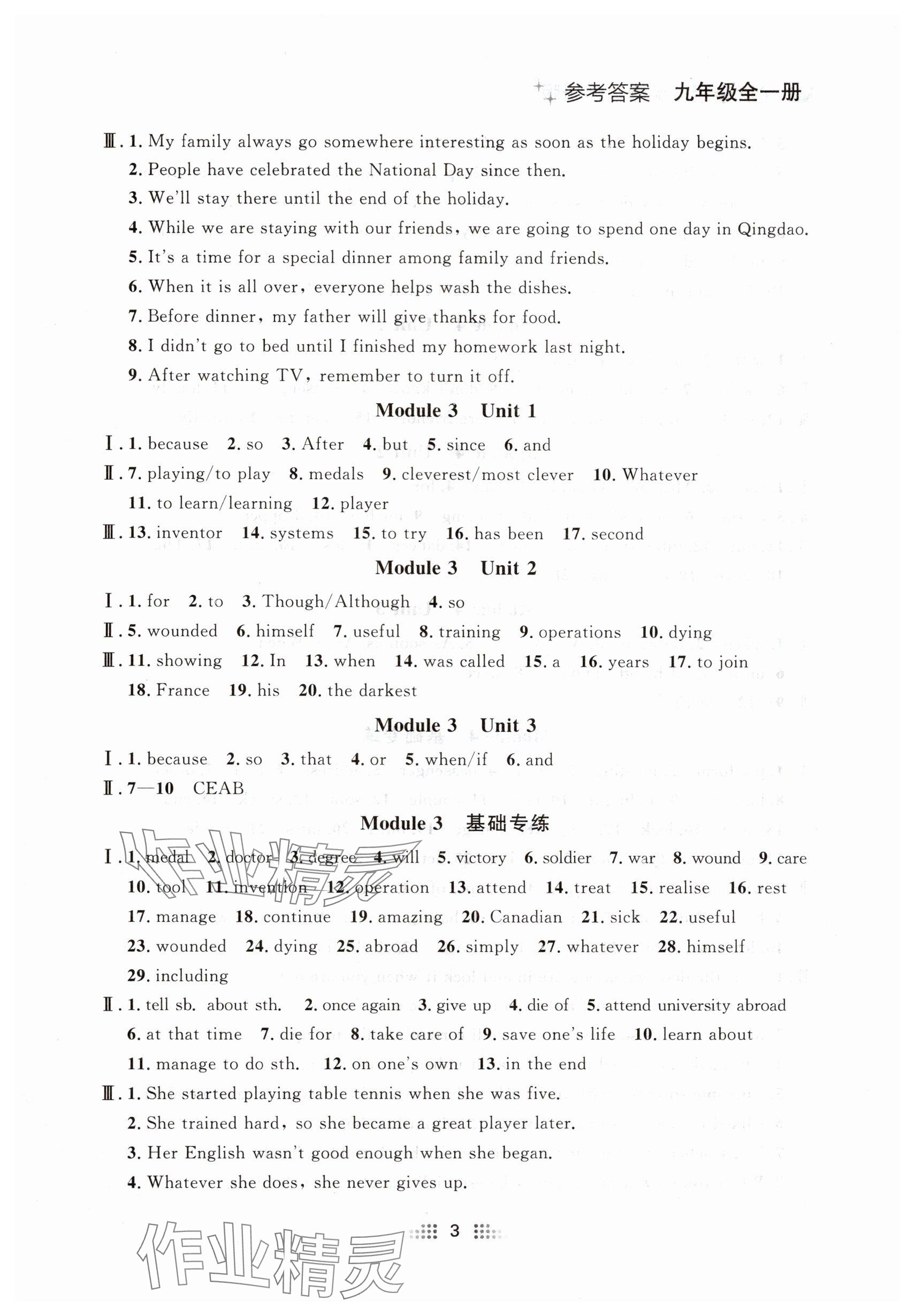 2024年點石成金金牌奪冠九年級英語全一冊外研版遼寧專版 參考答案第3頁