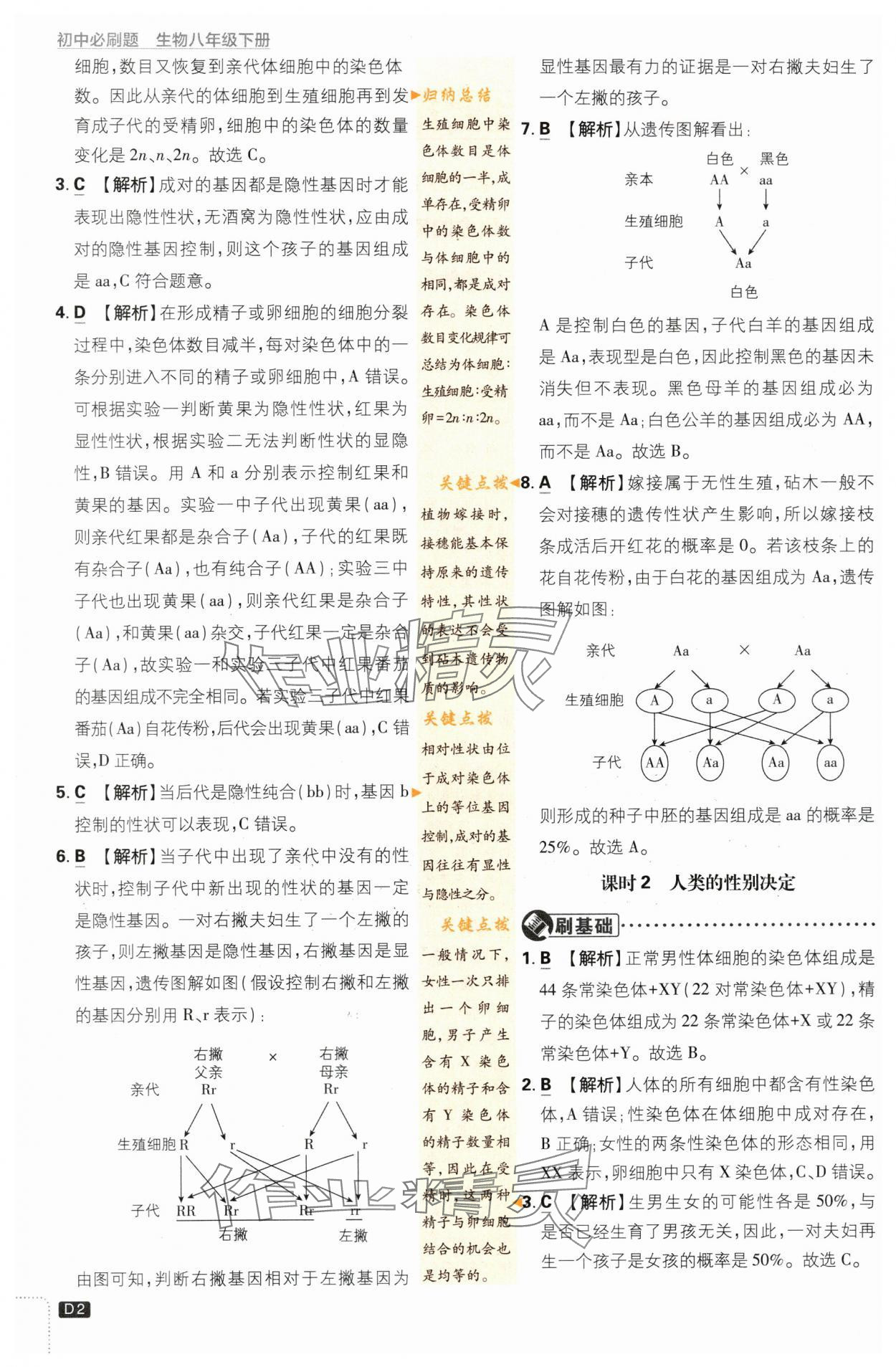 2024年初中必刷题八年级生物下册苏教版 第2页