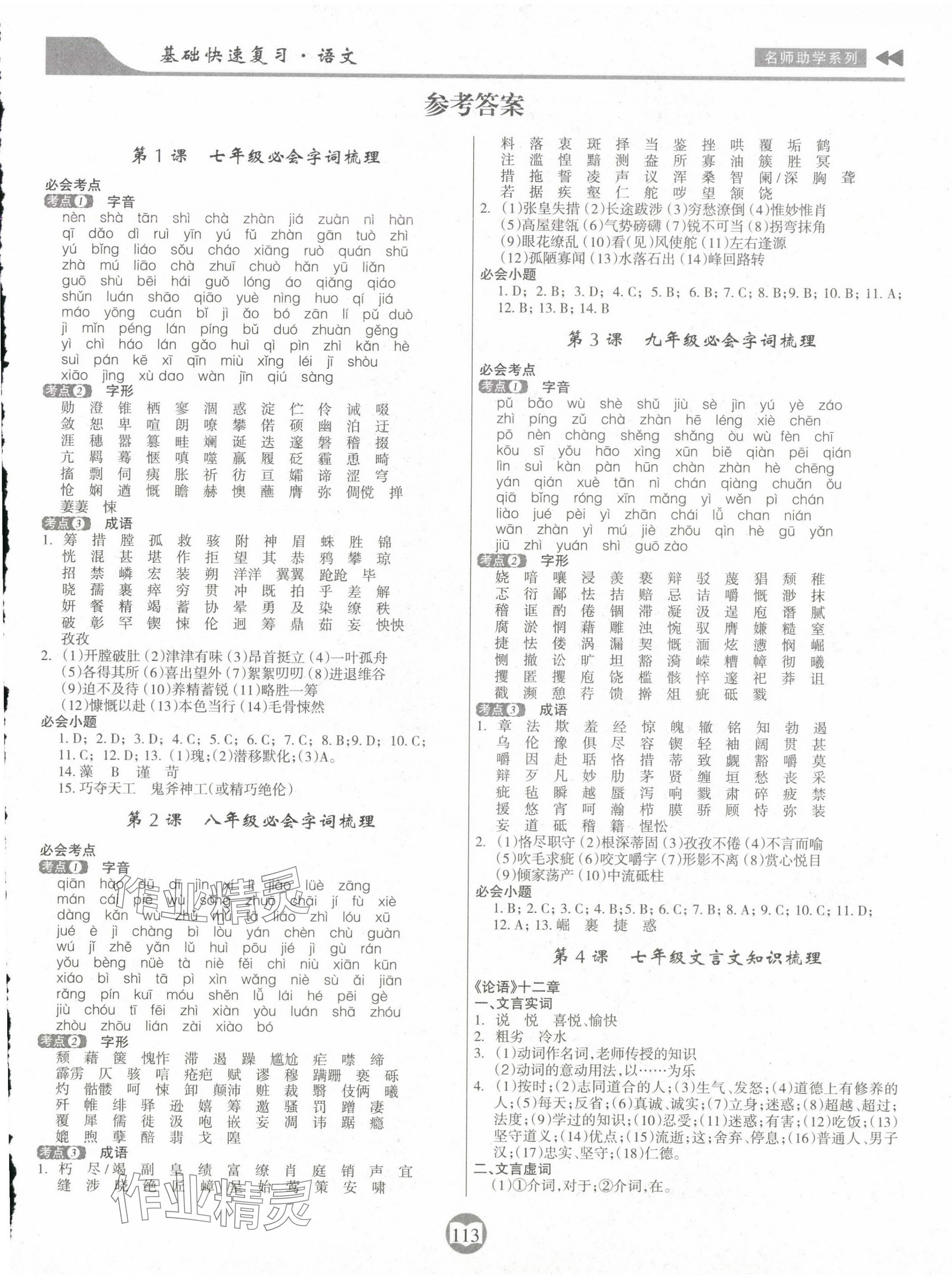 2025年中考總復習基礎快速復習語文 第1頁
