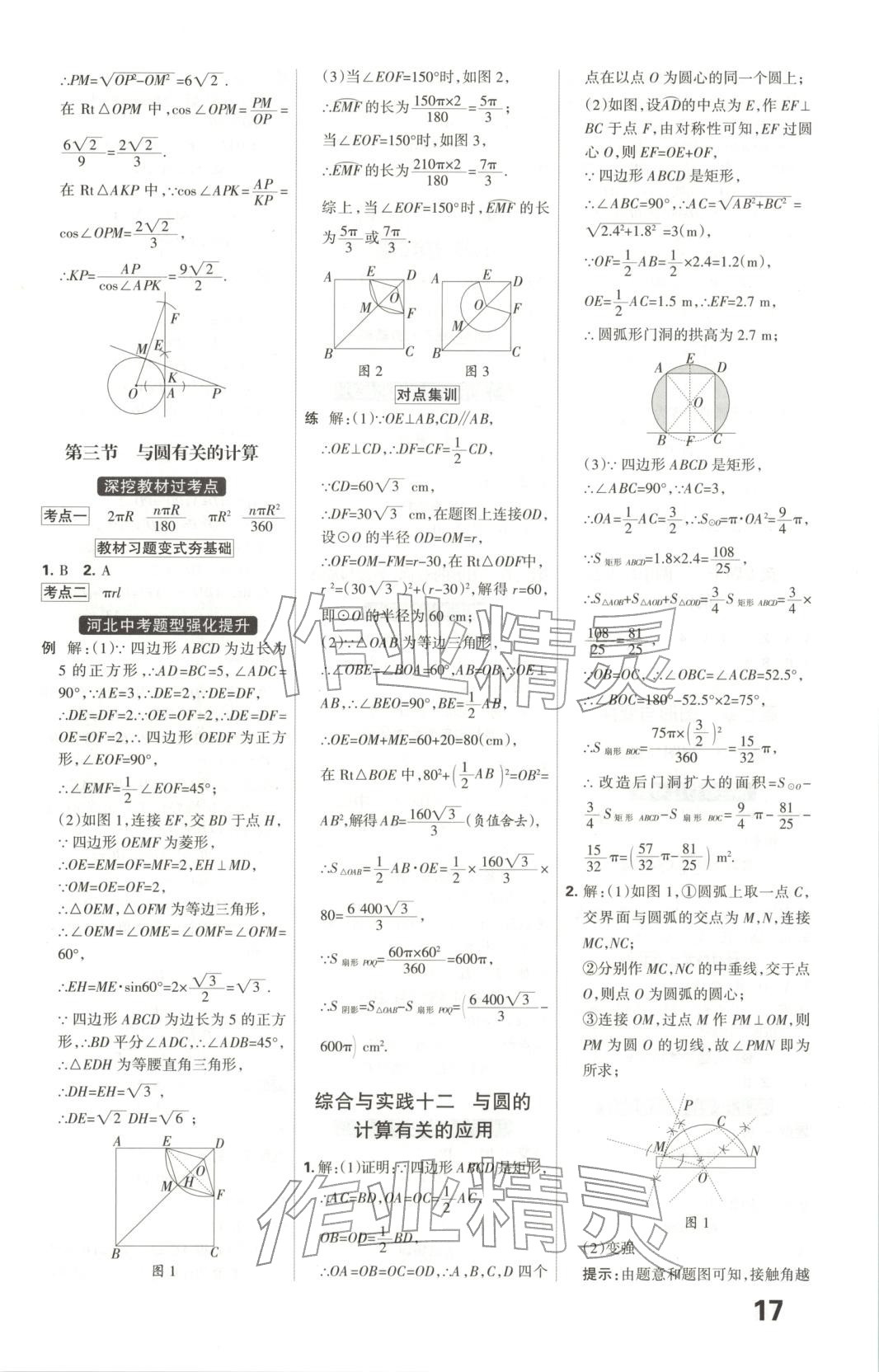 2026年全优中考系统总复习数学河北专版 第17页