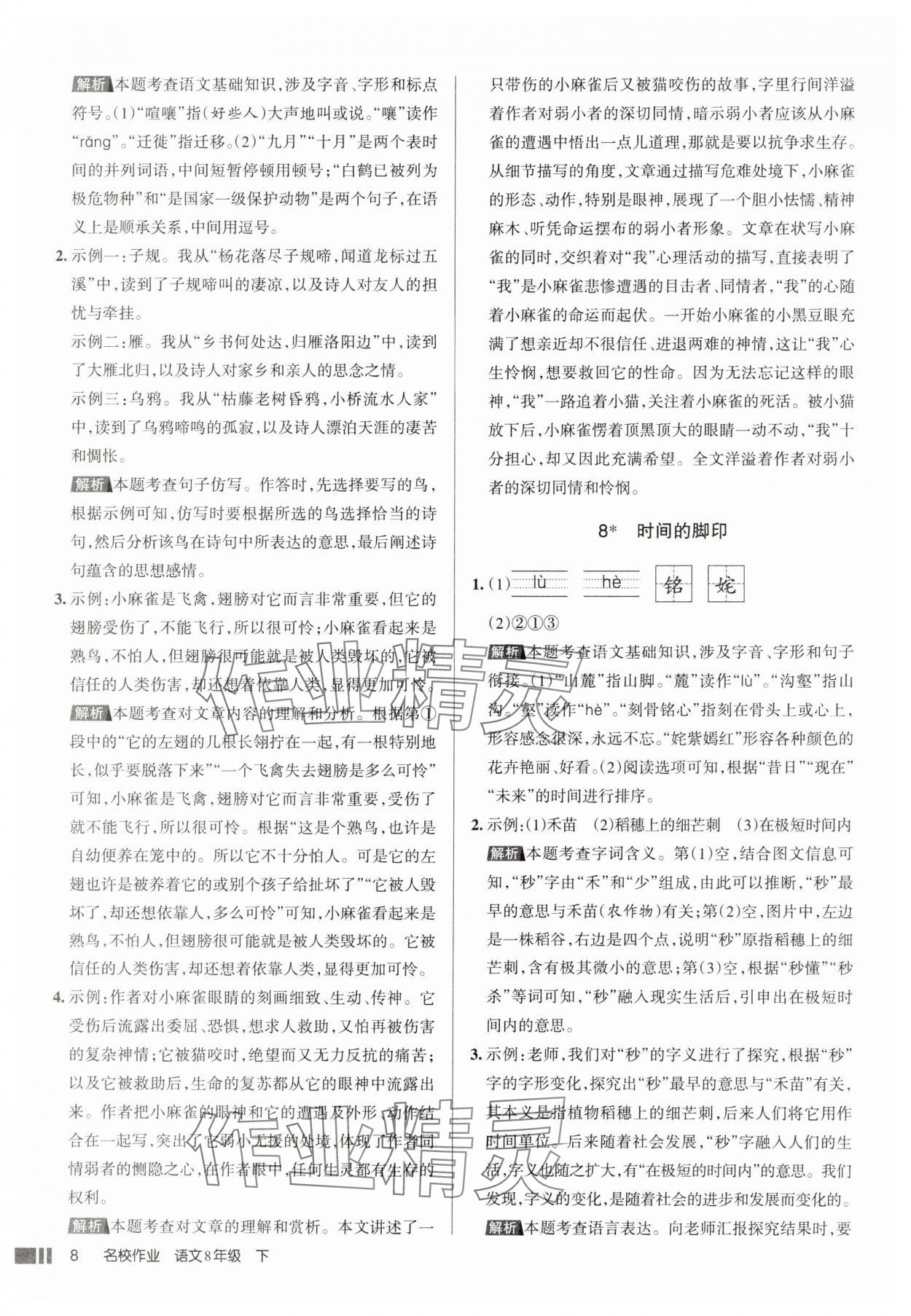 2025年名校作業八年級語文下冊人教版山西專版 參考答案第8頁