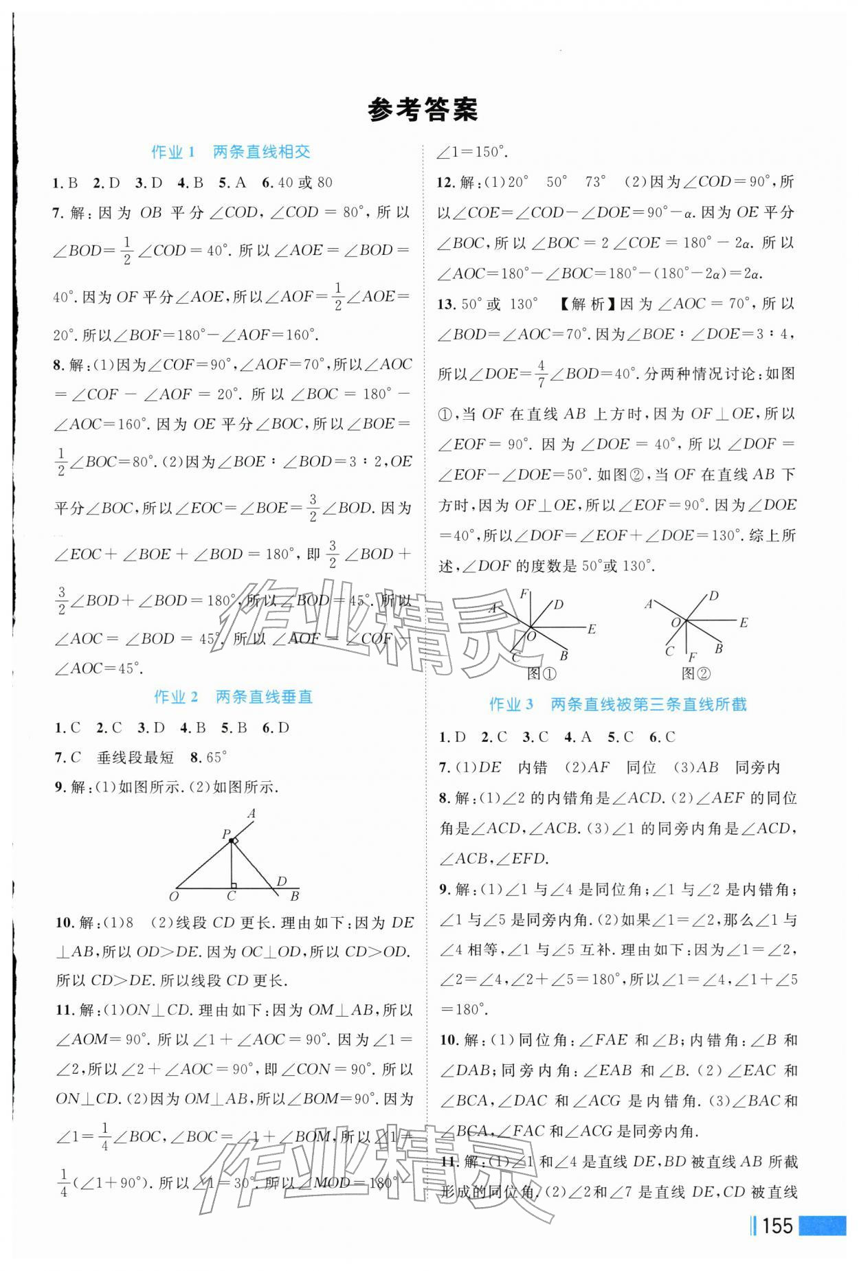 2026年作业新编七年级数学下册人教版&nbsp;第1页