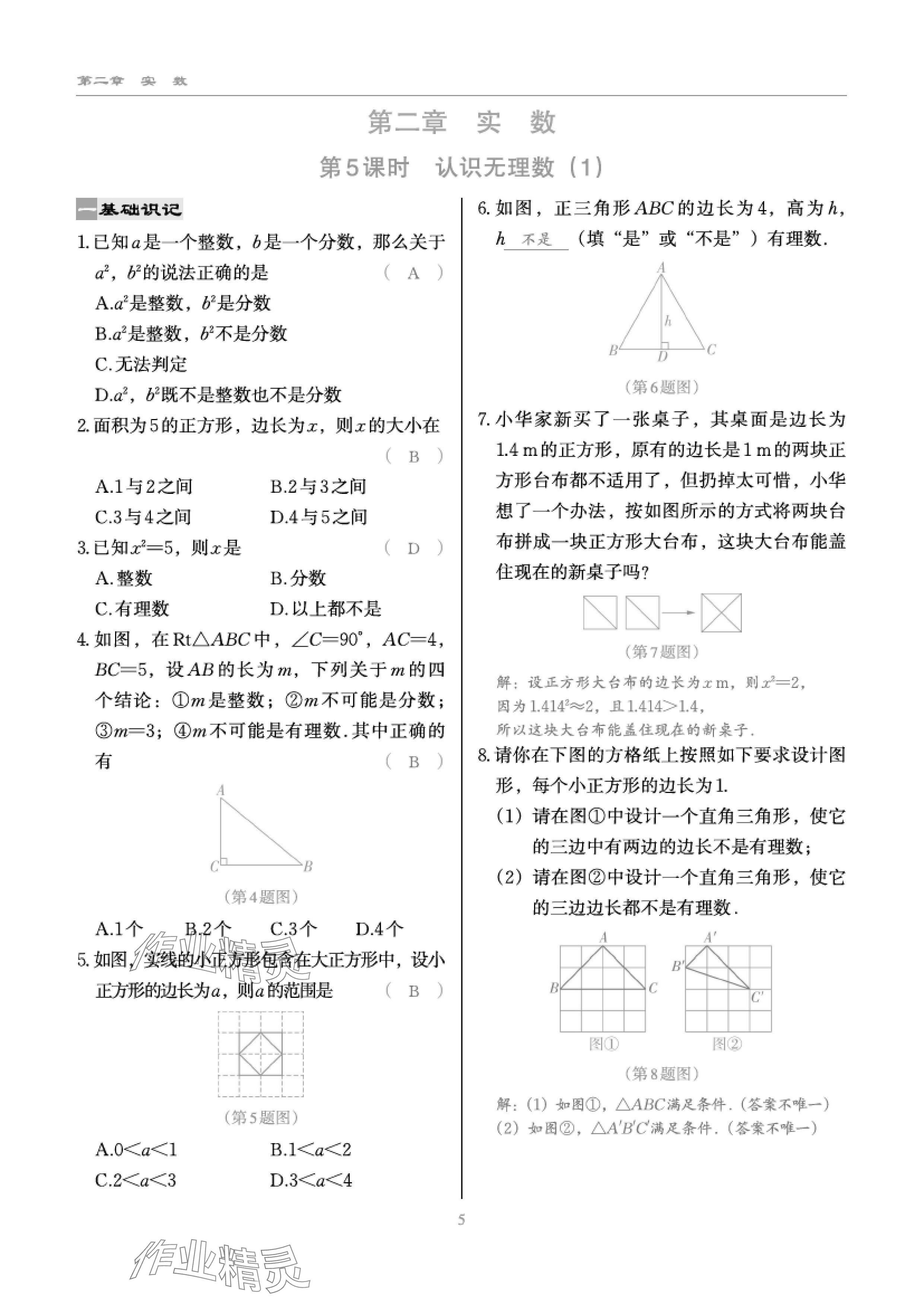 2024年慧學智評八年級數學上冊北師大版 參考答案第11頁