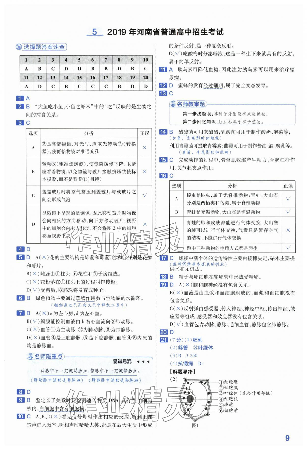 2024年金考卷45套汇编生物河南专版 第9页