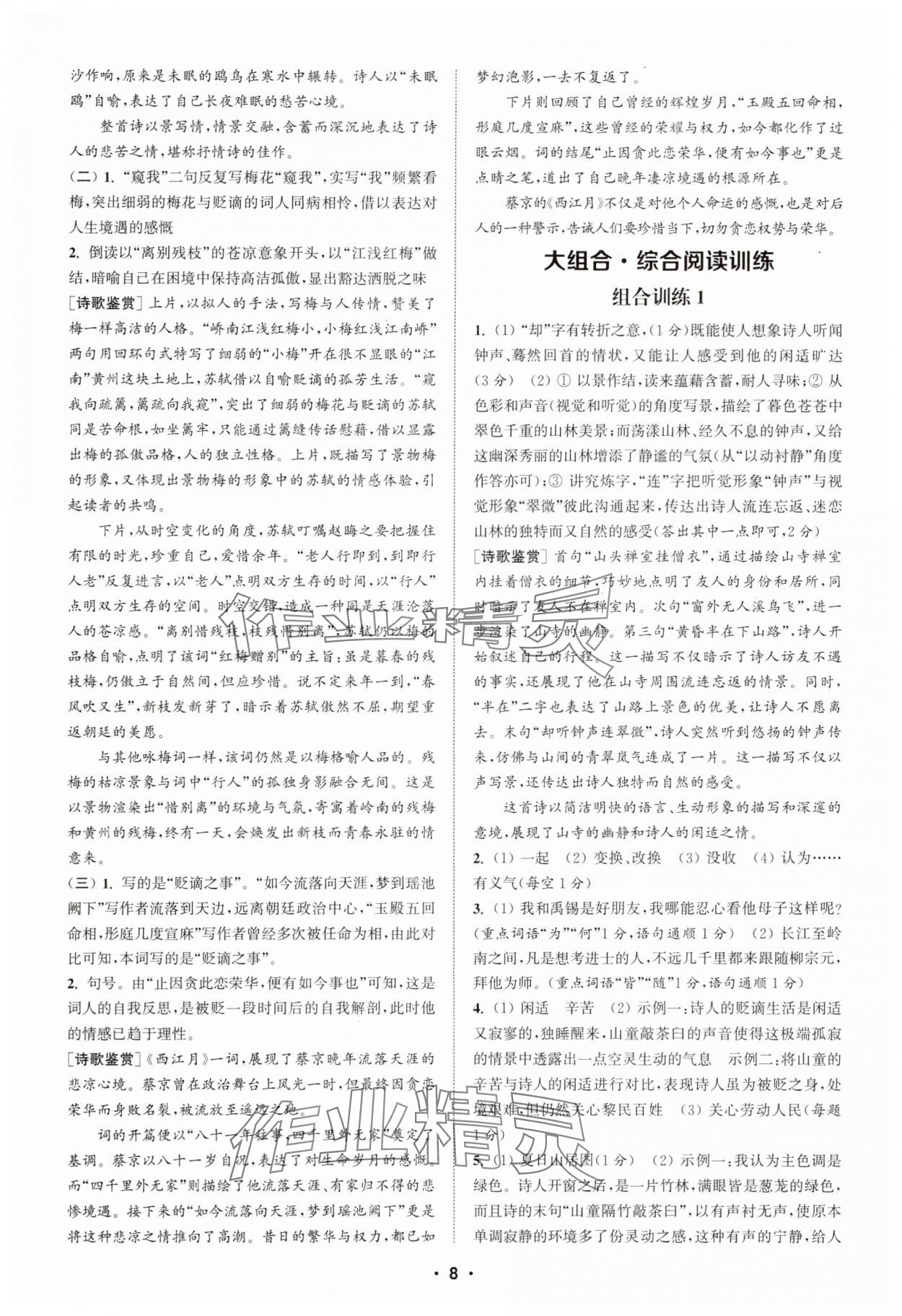 2025年通城學典初中語文閱讀訓練組合訓練九年級南通專版 第8頁