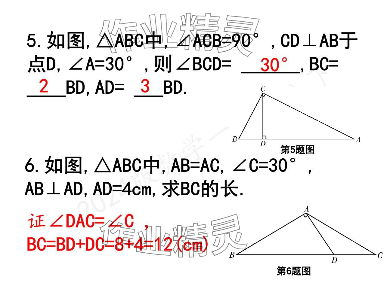 2025年一本通武漢出版社八年級數(shù)學(xué)下冊北師大版精簡版 參考答案第31頁
