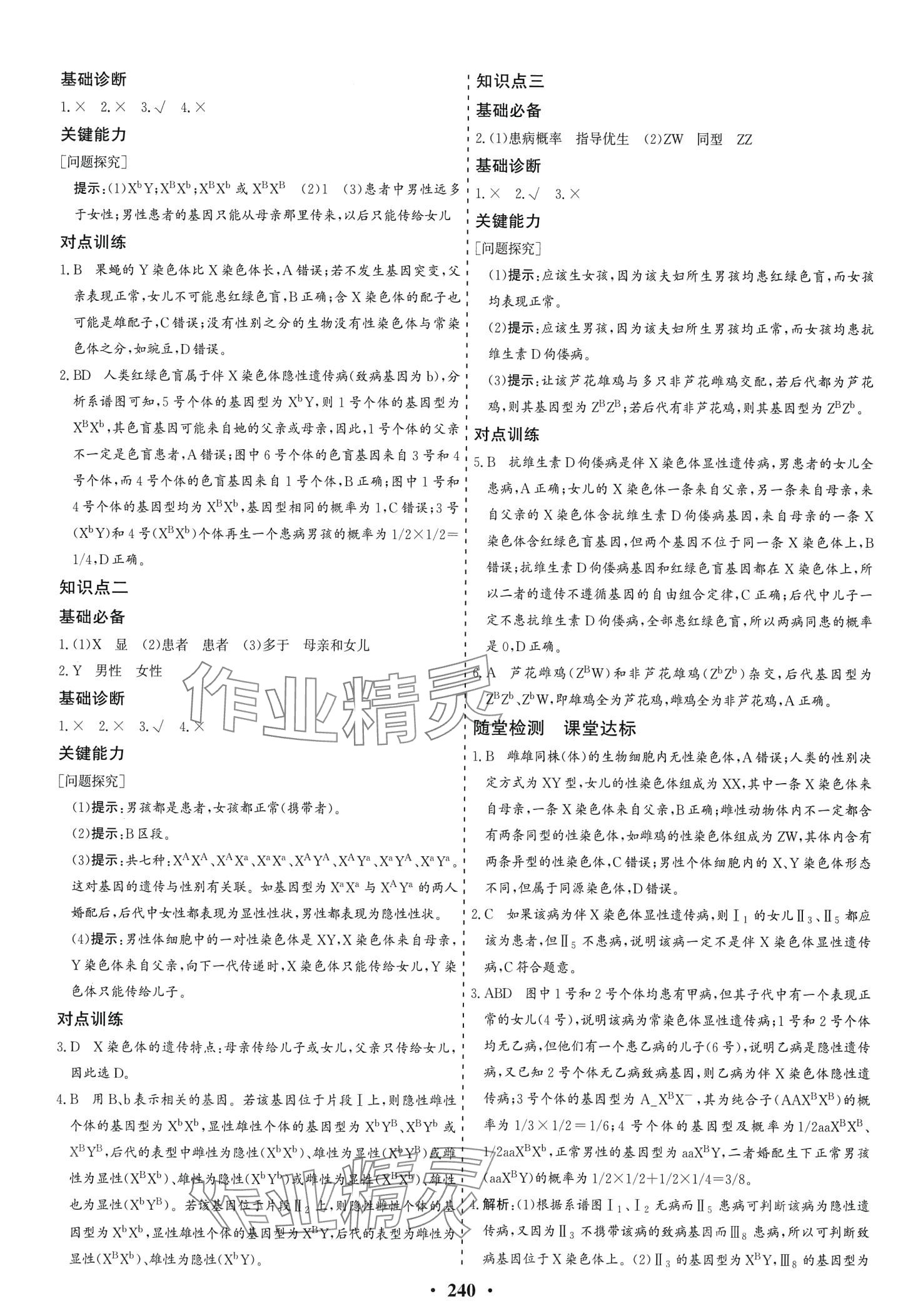 2024年創(chuàng)新思維同步導(dǎo)學(xué)案高中生物必修2人教版 第10頁