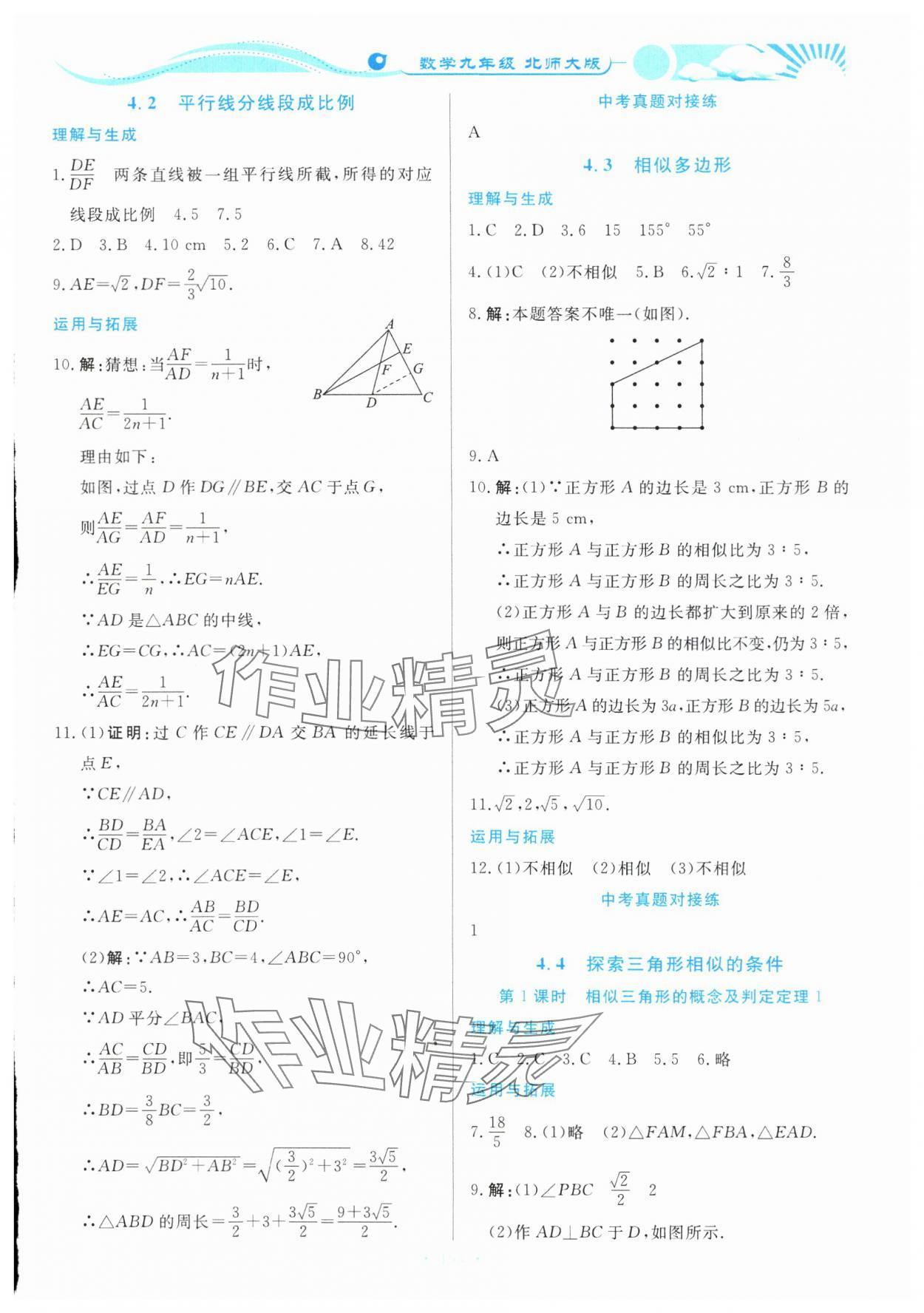 2023年學力水平同步檢測與評估九年級數(shù)學全一冊北師大版 第15頁