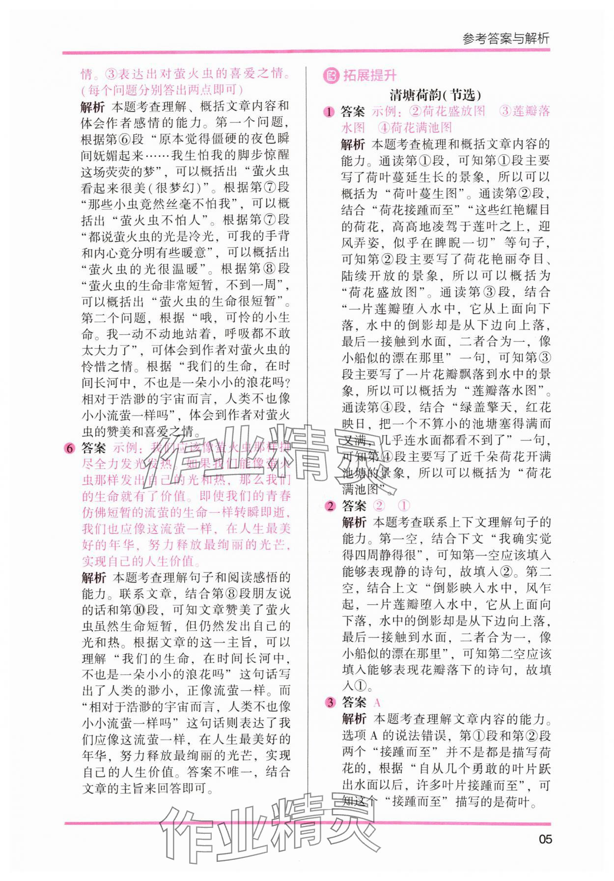 2024年木头马暑假读写辅导四升五语文&nbsp;参考答案第5页