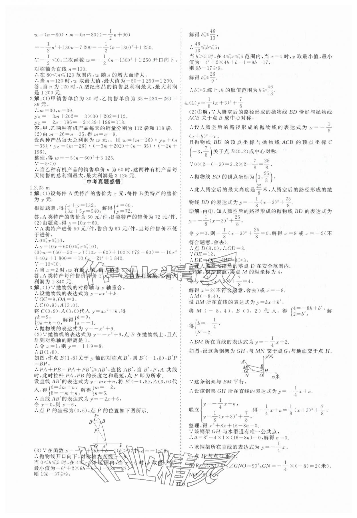 2025年畢業(yè)班綜合訓練數(shù)學中考安徽專版 參考答案第9頁