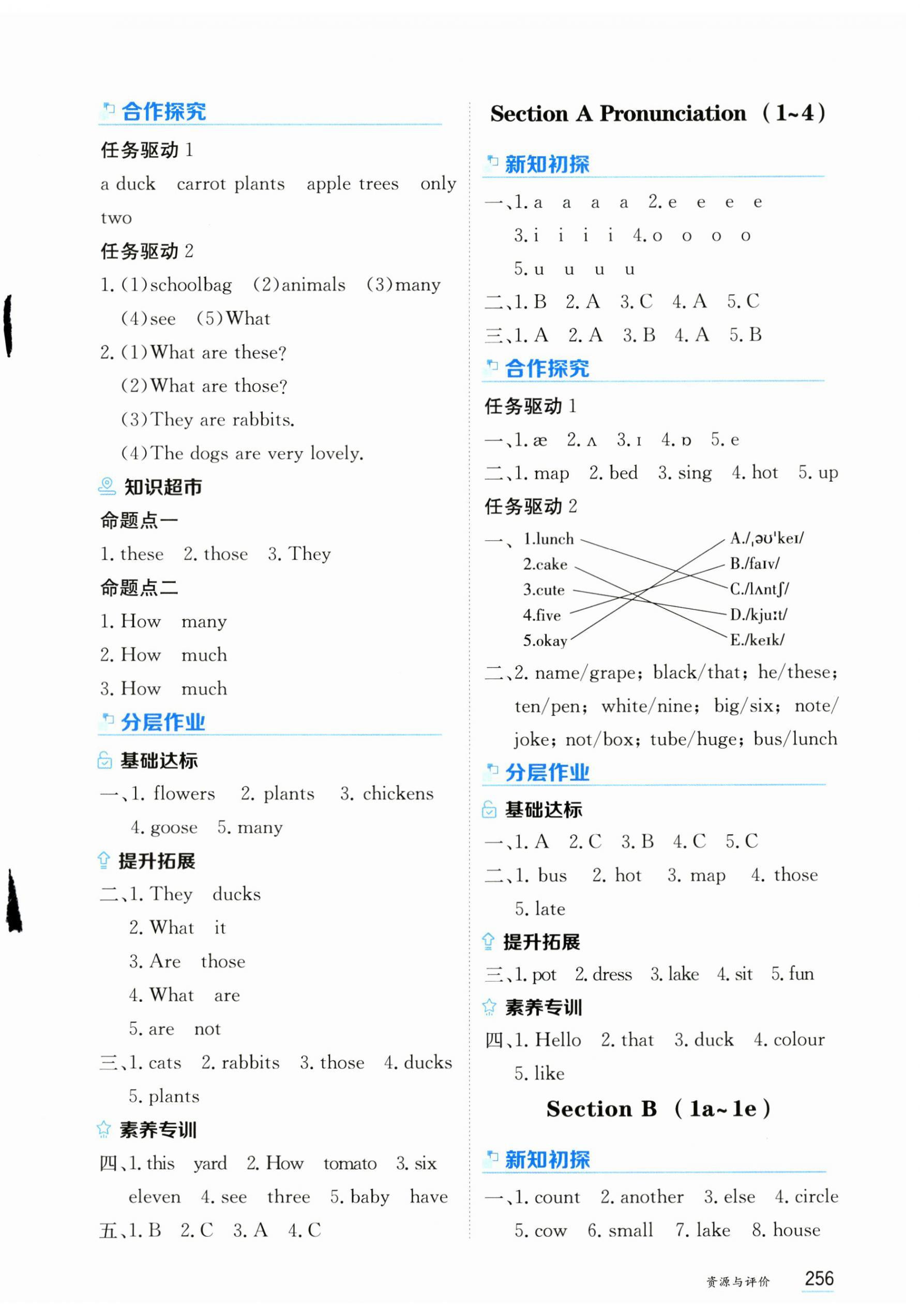 2024年資源與評價黑龍江教育出版社七年級英語上冊人教版 第6頁