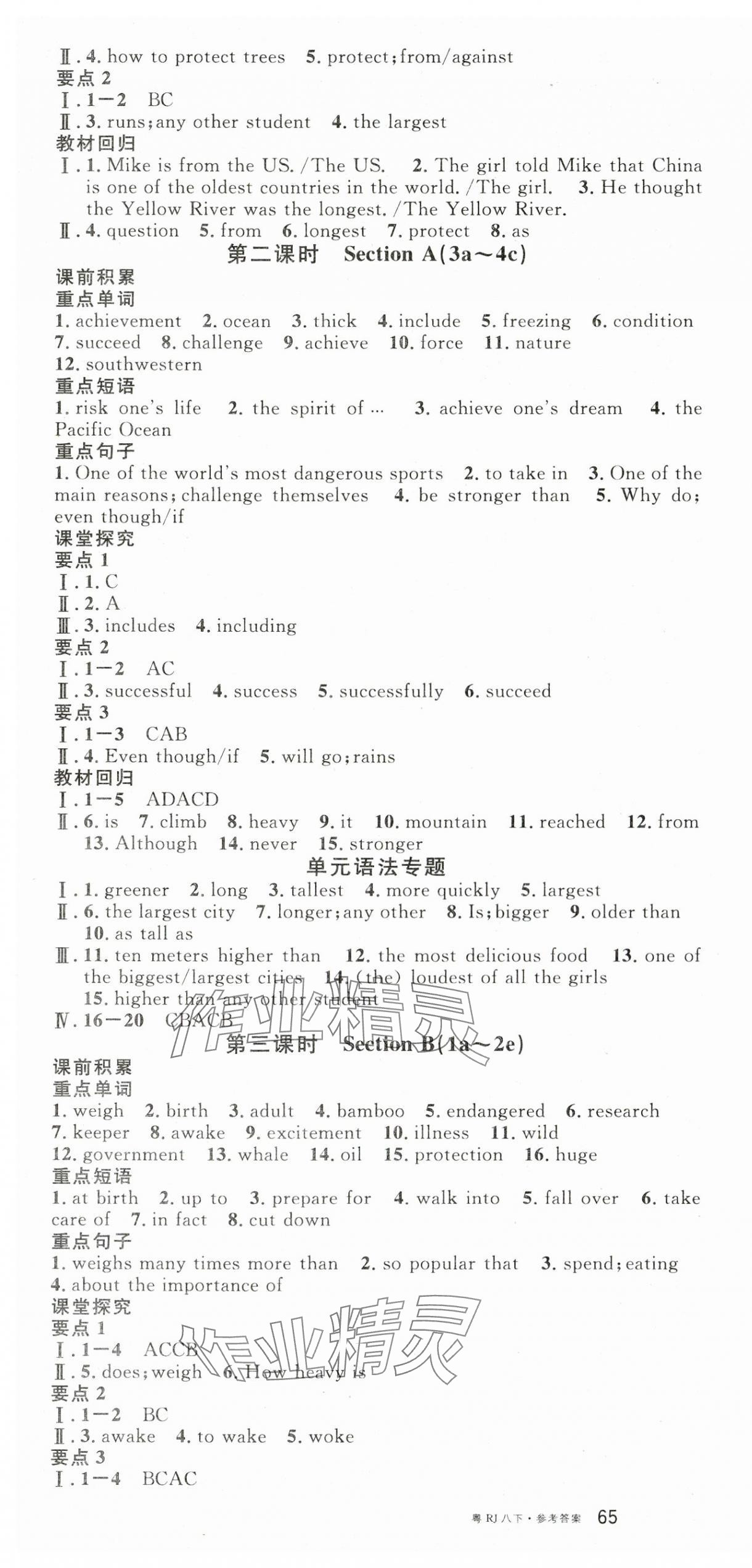 2025年名校課堂八年級英語3下冊人教版廣東專版 參考答案第13頁
