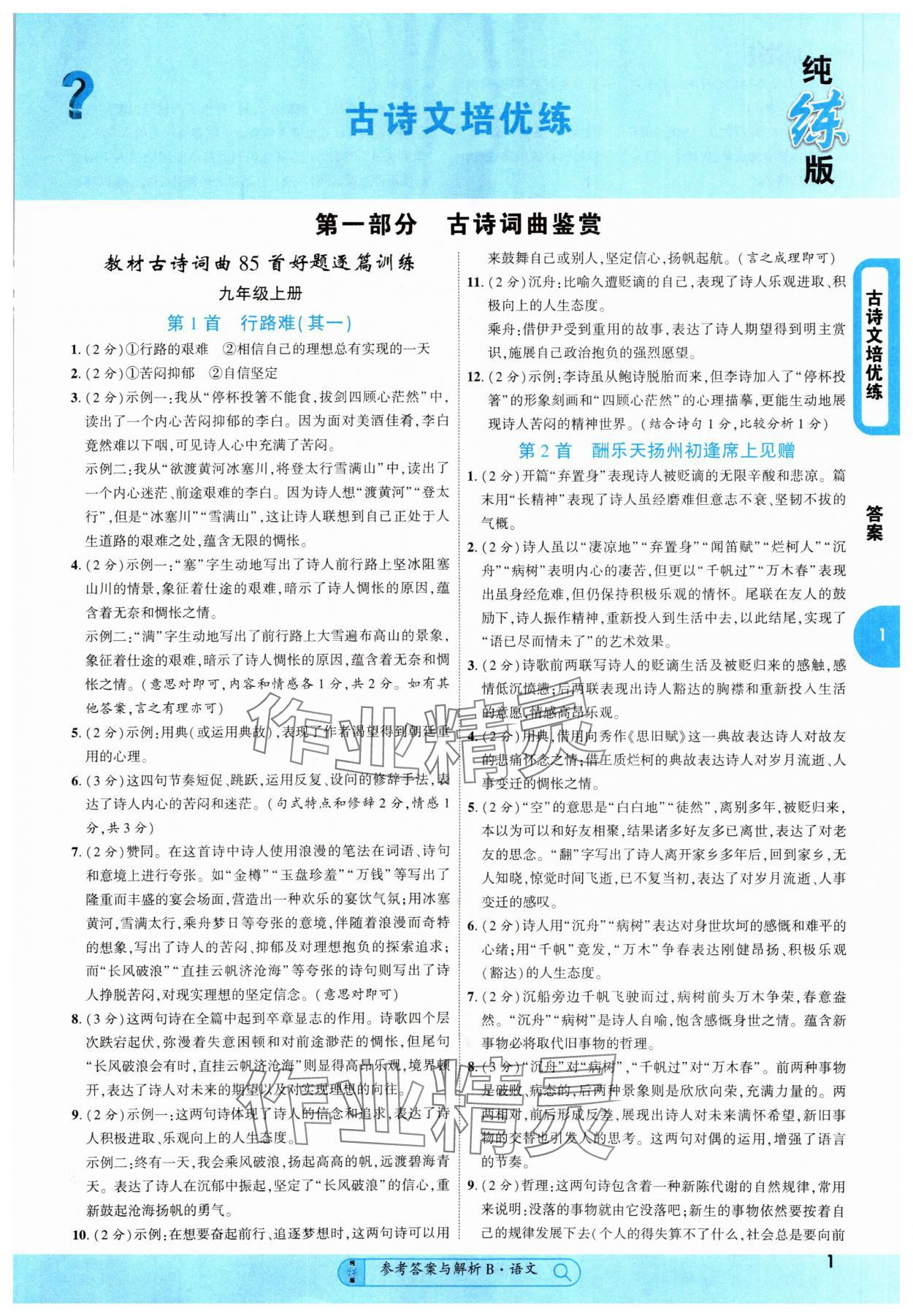 2025年純練版總復習語文 第1頁