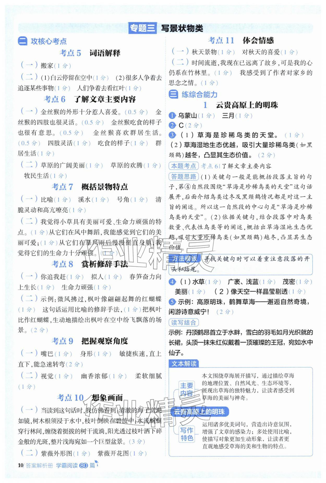 2025年閱讀語文80篇三年級語文 第10頁