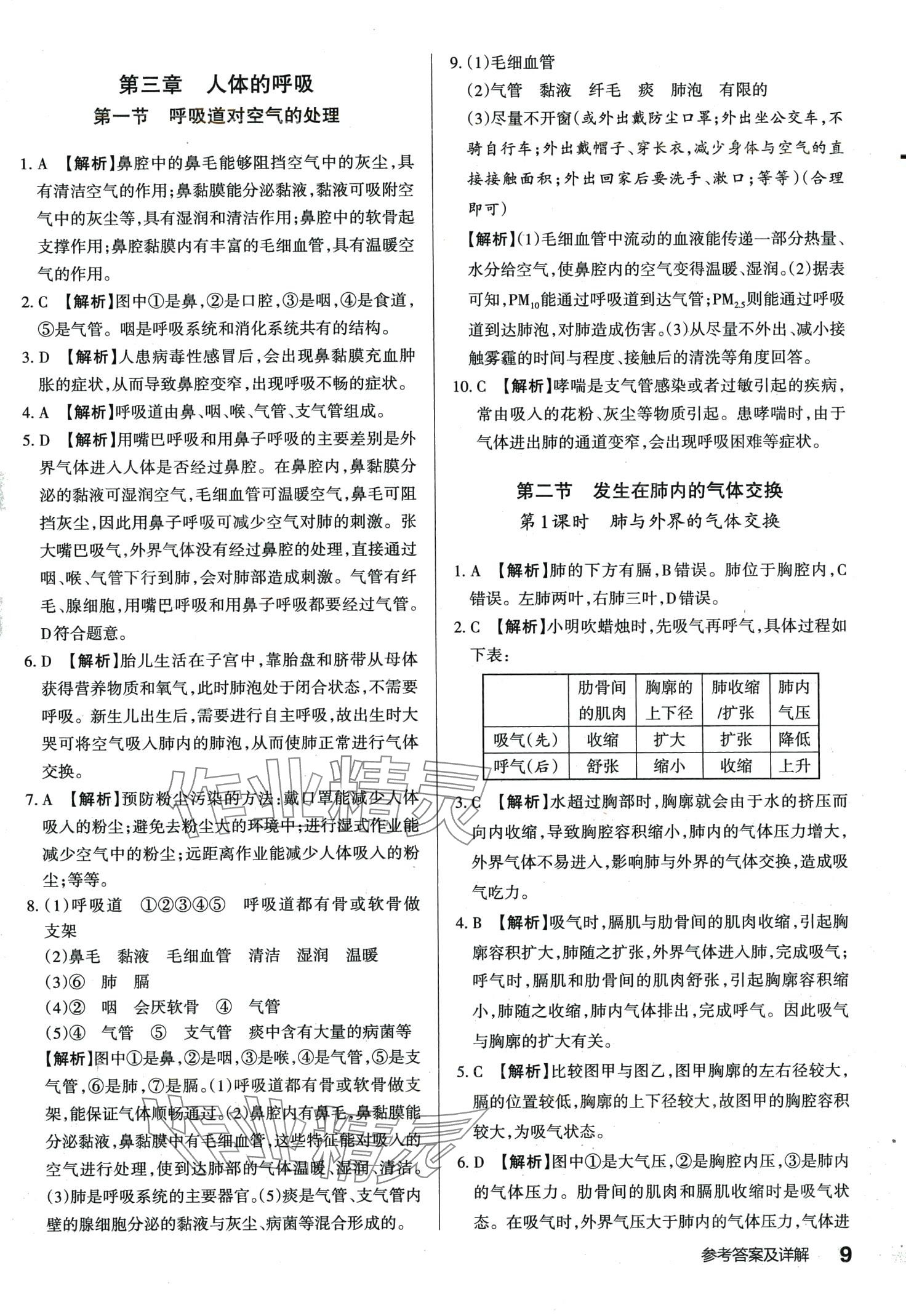 2024年滿分訓(xùn)練設(shè)計七年級生物下冊人教版 第8頁