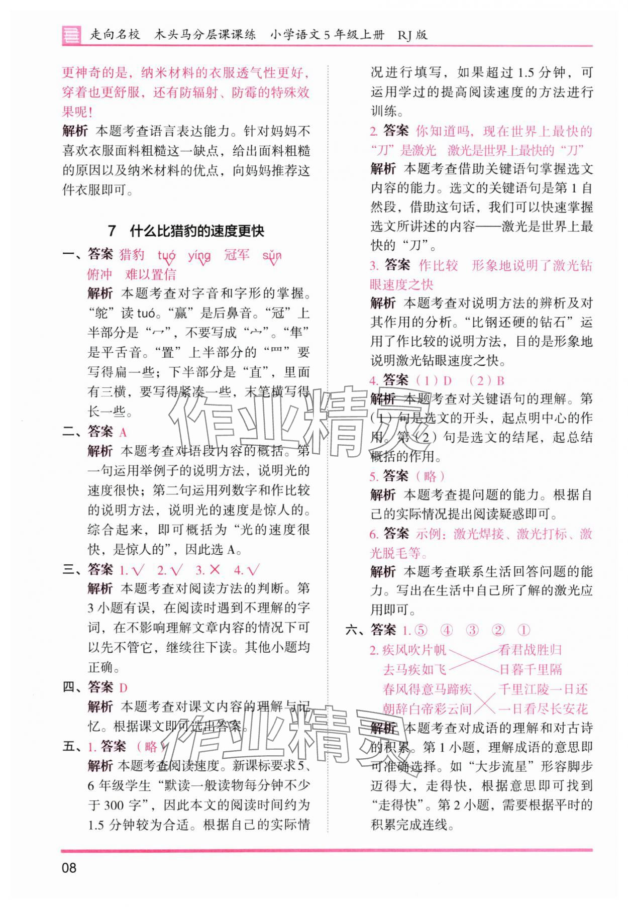 2025年木頭馬分層課課練五年級語文上冊人教版浙江專版 第8頁