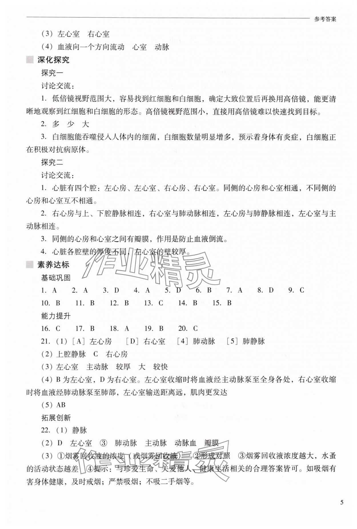 2025年新课程问题解决导学方案八年级生物上册苏教版 参考答案第5页