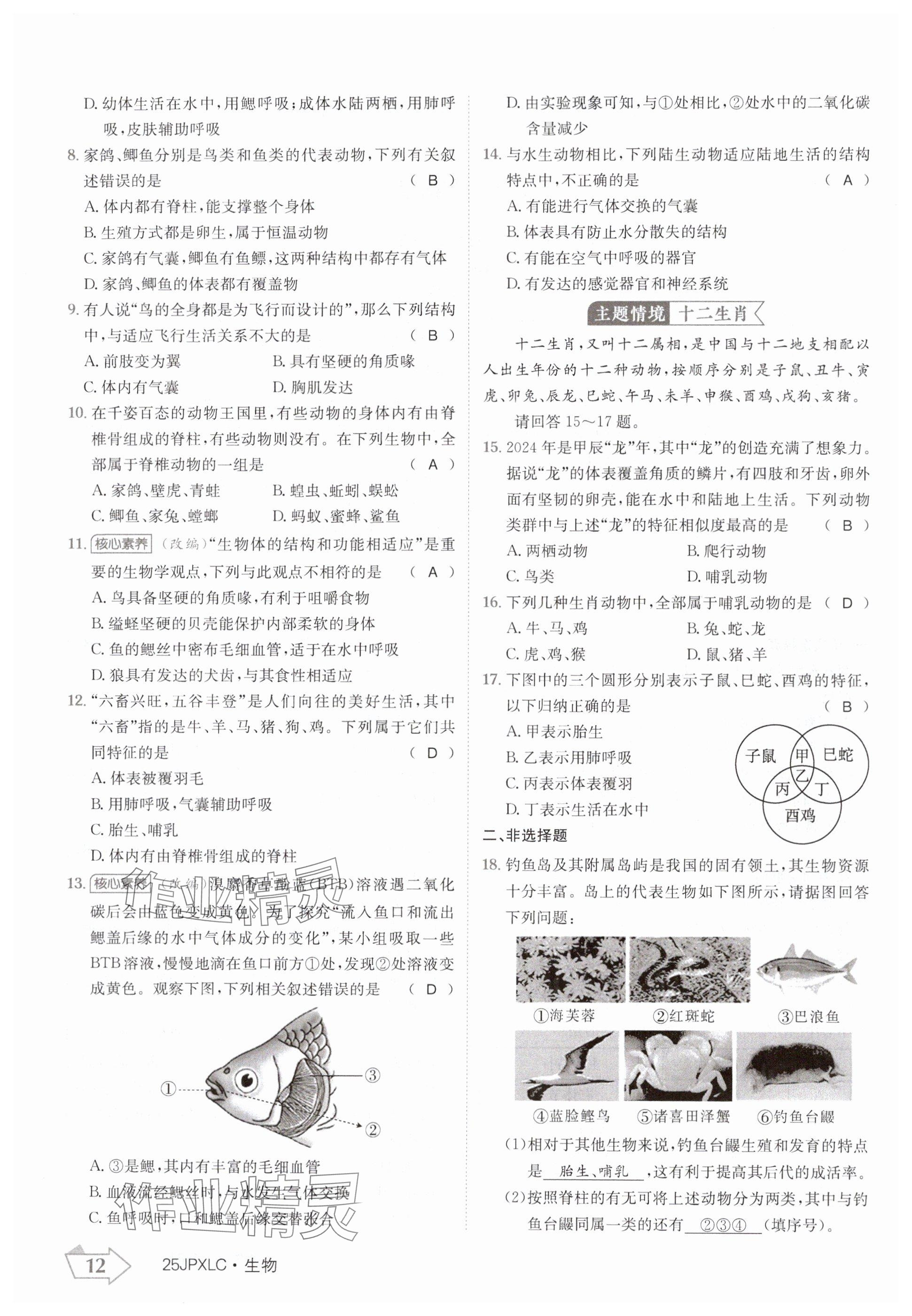 2024年金牌學練測八年級生物上冊人教版 參考答案第12頁