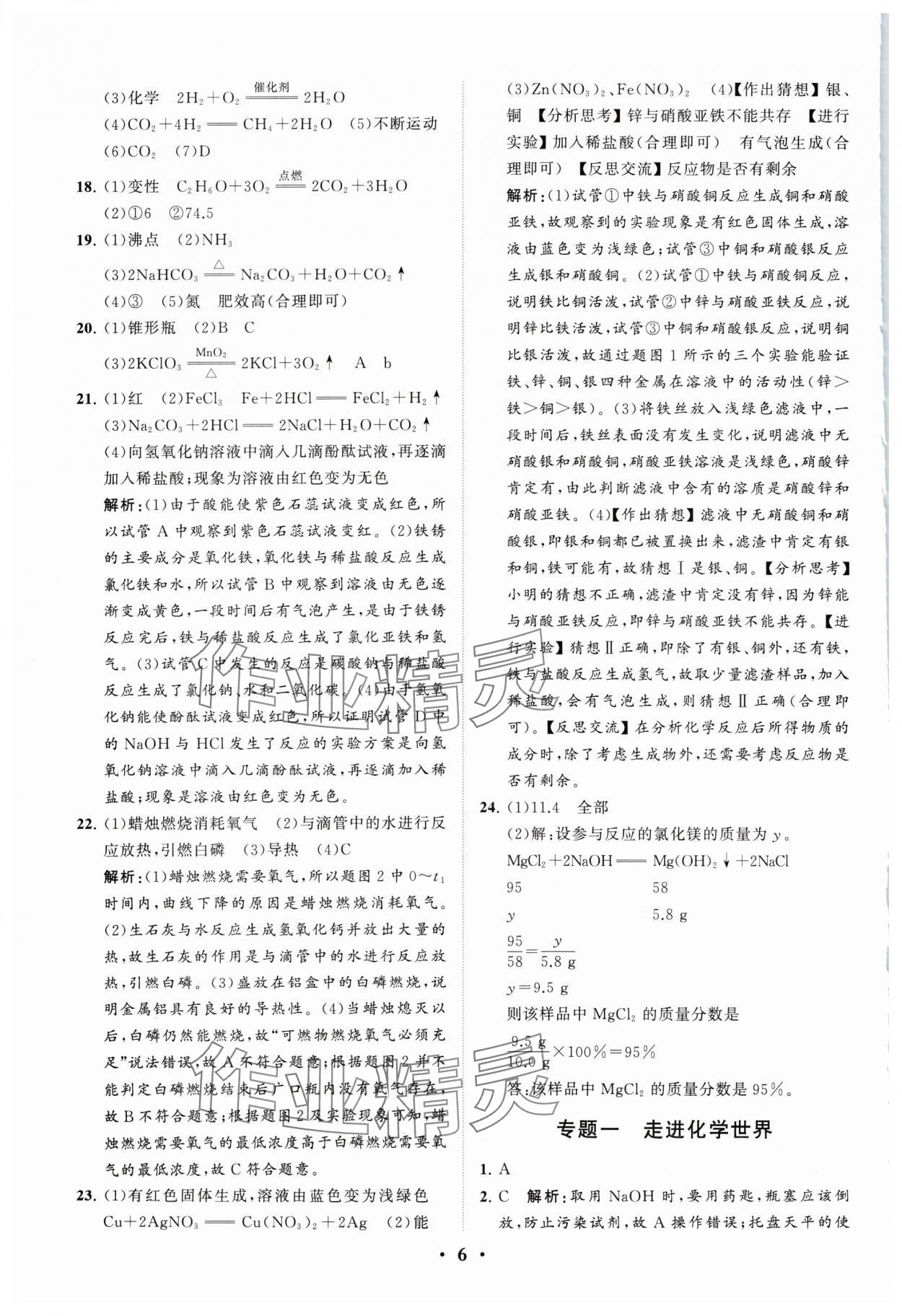 2024年初中总复习手册分层专题卷化学五四制烟台专版&nbsp;参考答案第6页