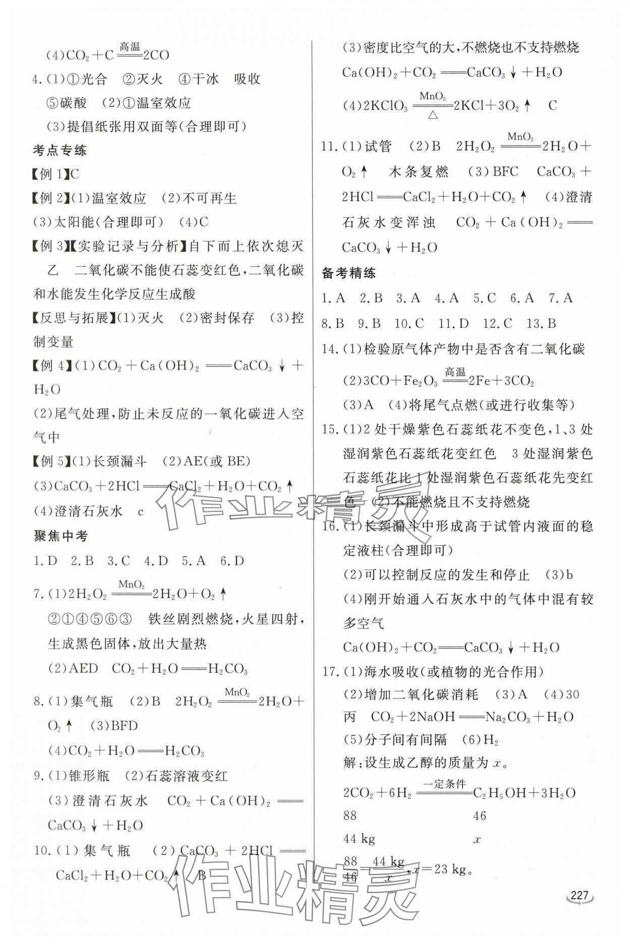 2024年初中學(xué)業(yè)水平考試備考指導(dǎo)化學(xué)臨沂專版&nbsp;參考答案第8頁