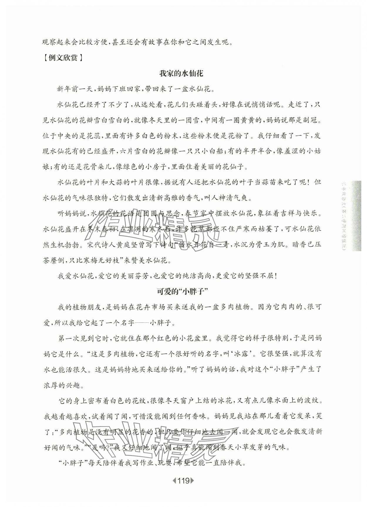 2025年華東師大版一課一練三年級語文下冊人教版增強版五四制 參考答案第5頁