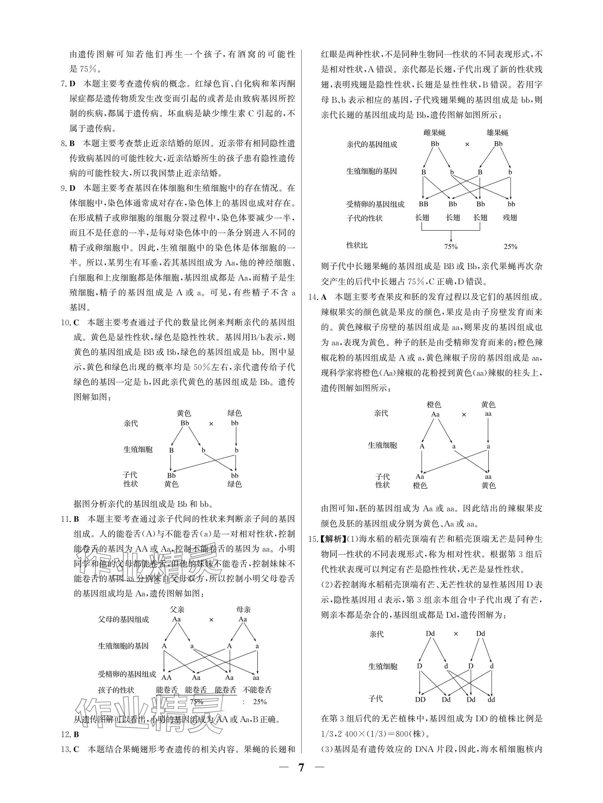 2025年南方新課堂金牌學案八年級生物下冊人教版深圳專版 參考答案第7頁