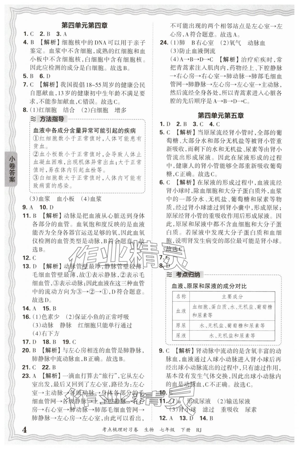 2025年王朝霞考点梳理时习卷七年级生物下册人教版 第4页