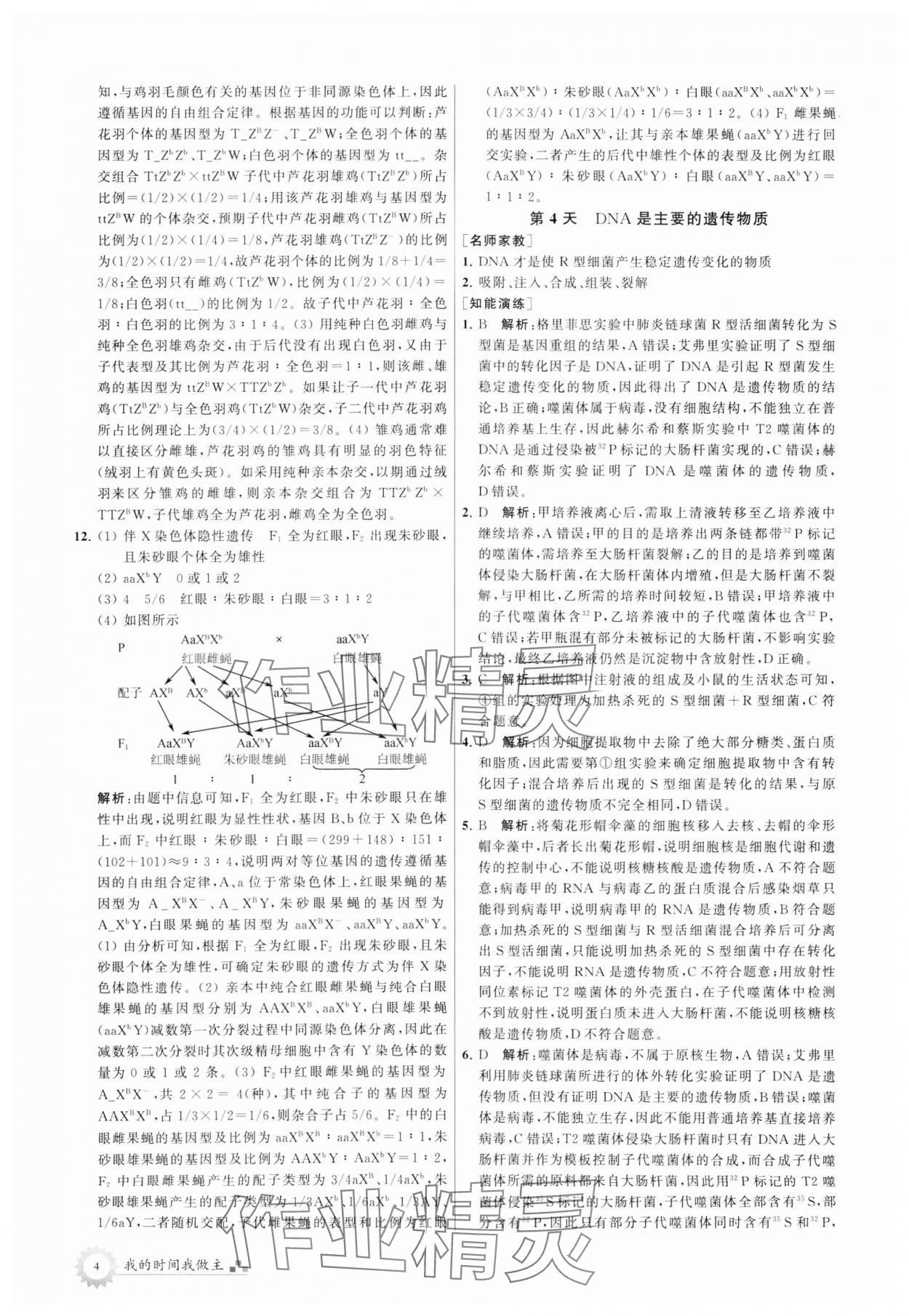 2024年最高考假期作业高一生物 第4页